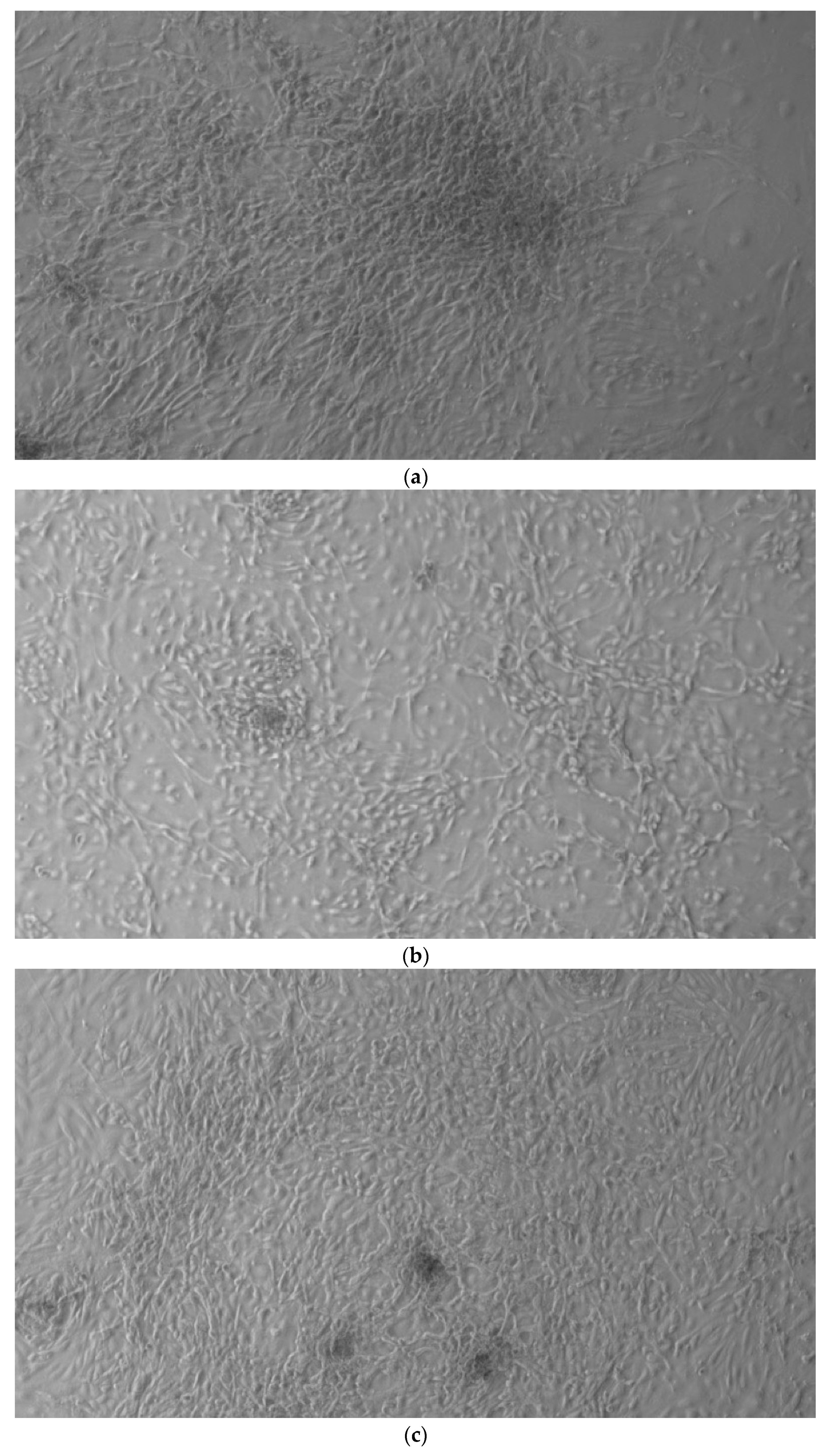 Ijerph 17 01947 g001a Ijerph 17 01947 g001a