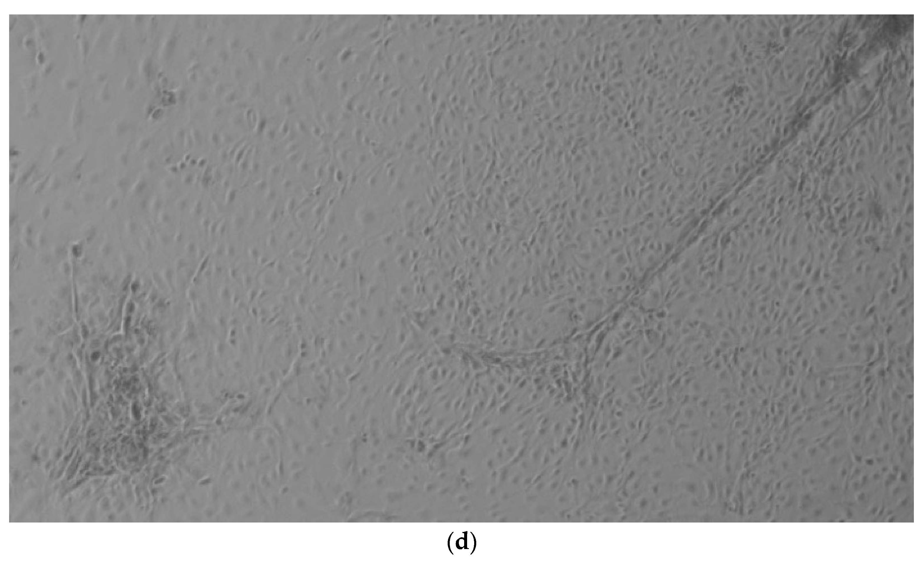 Ijerph 17 01947 g001b Ijerph 17 01947 g001b