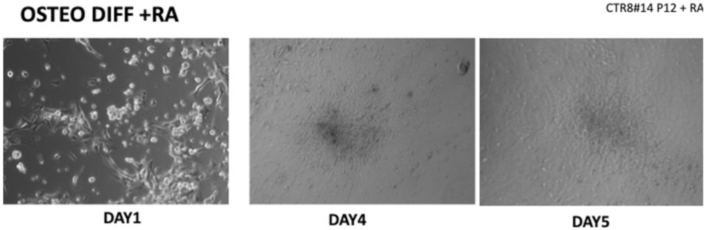 Ijerph 17 01947 g002 Ijerph 17 01947 g002