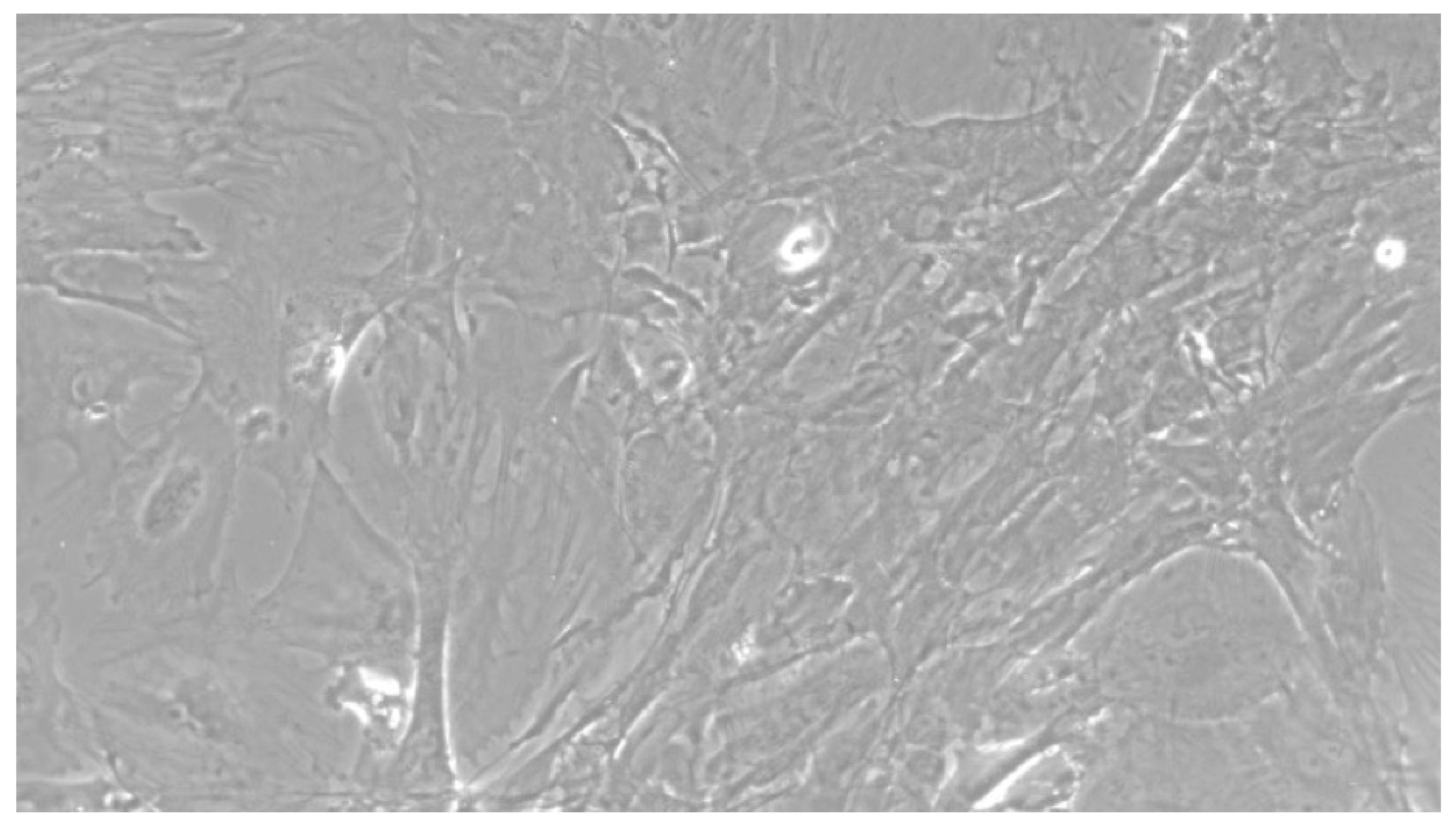 Ijerph 17 01947 g003 Ijerph 17 01947 g003