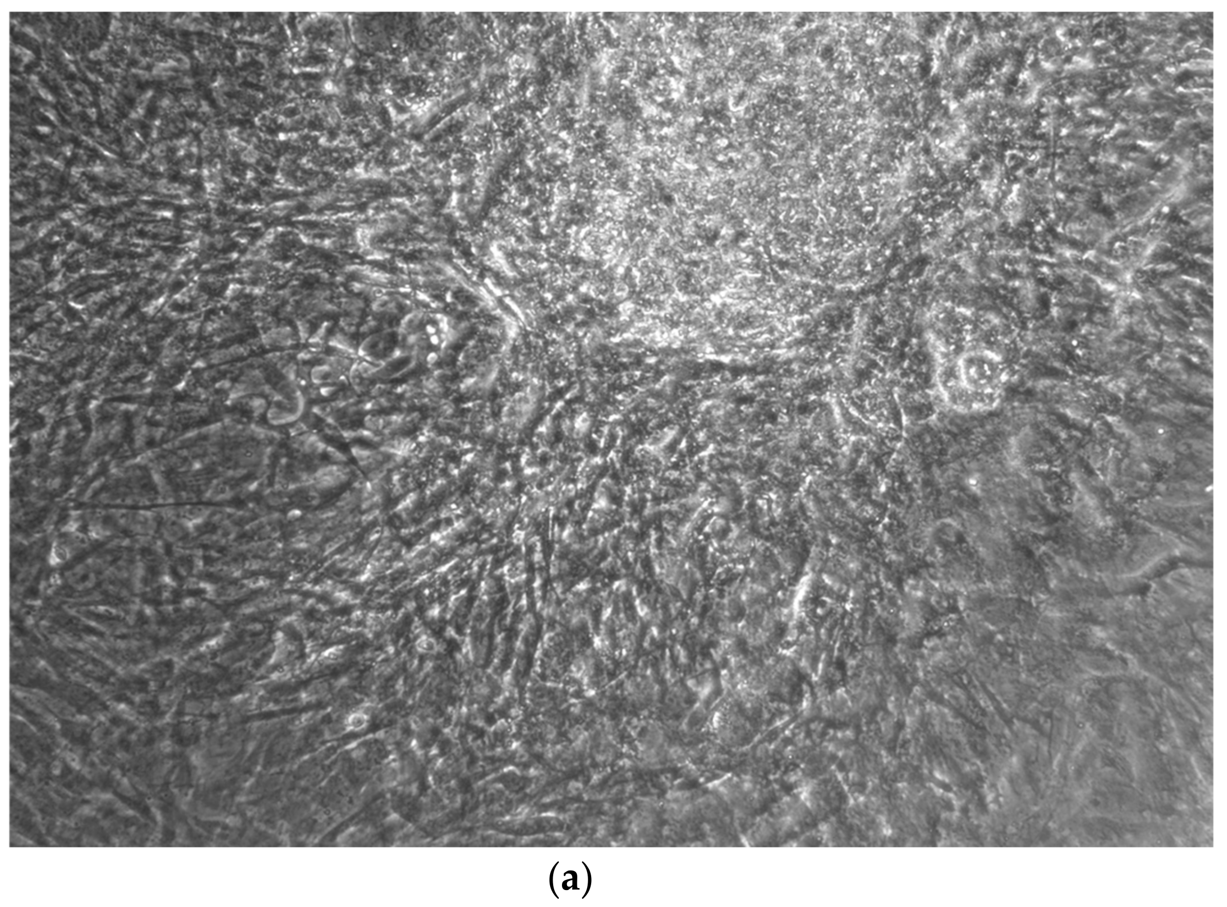 Ijerph 17 01947 g004a Ijerph 17 01947 g004a