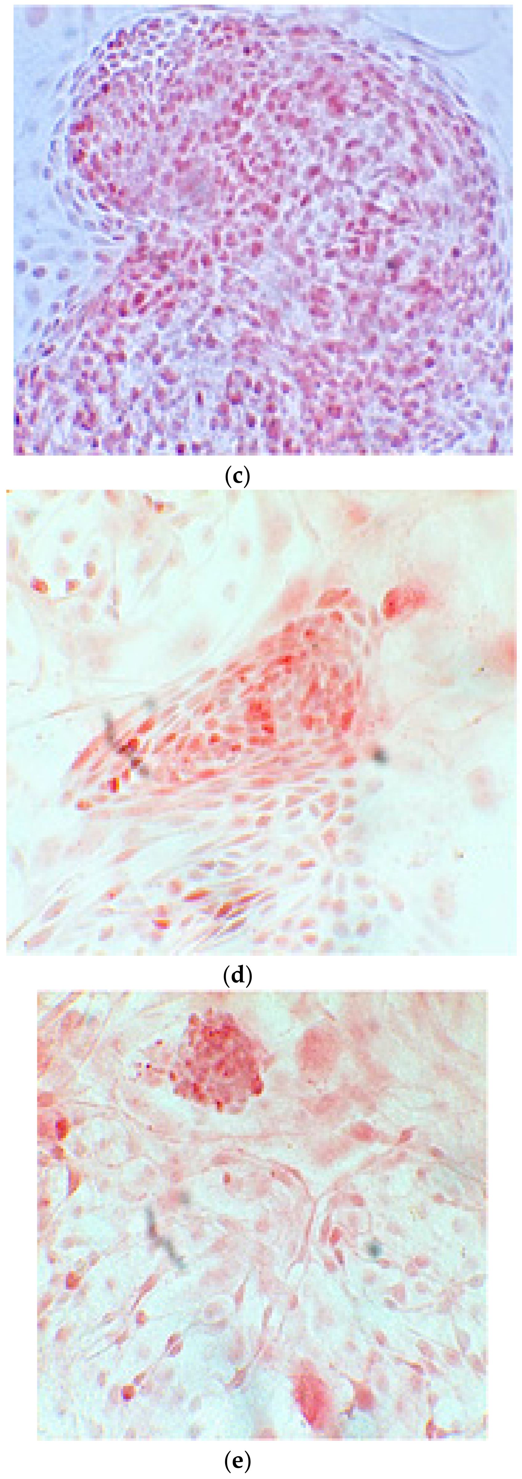 Ijerph 17 01947 g006b Ijerph 17 01947 g006b