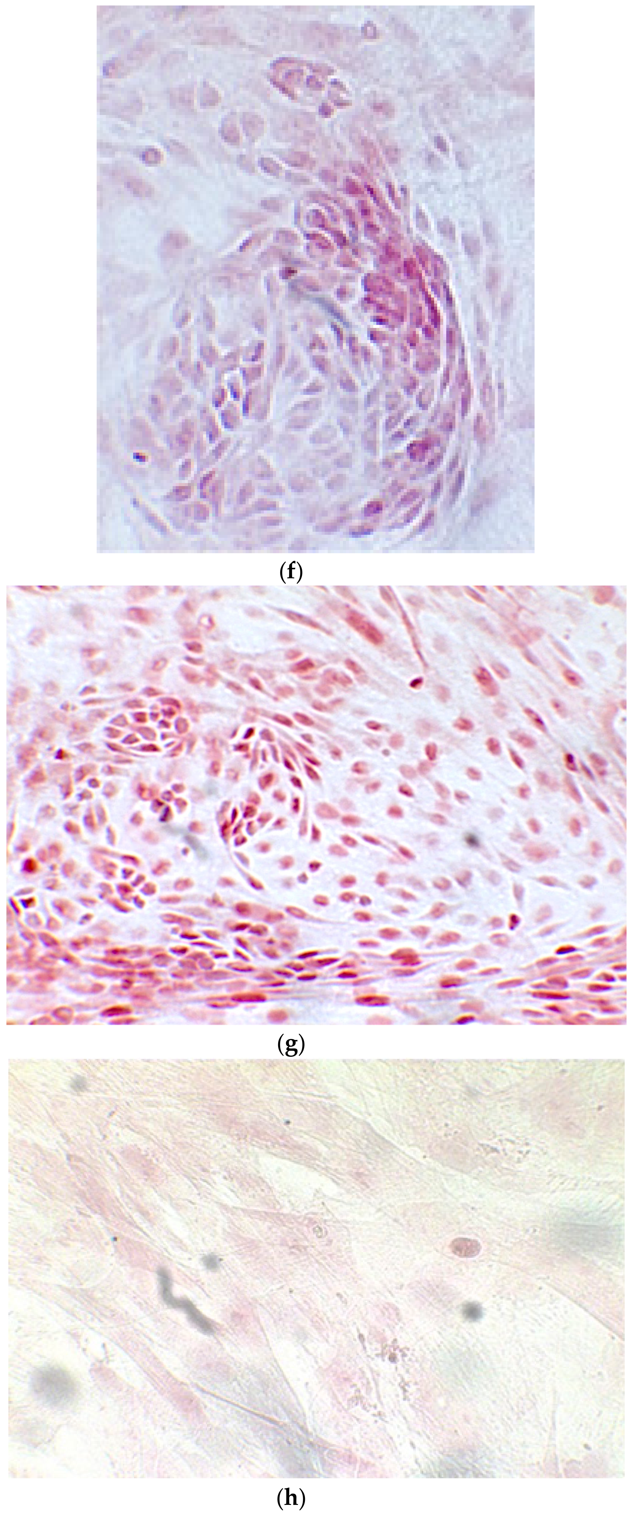 Ijerph 17 01947 g006c Ijerph 17 01947 g006c