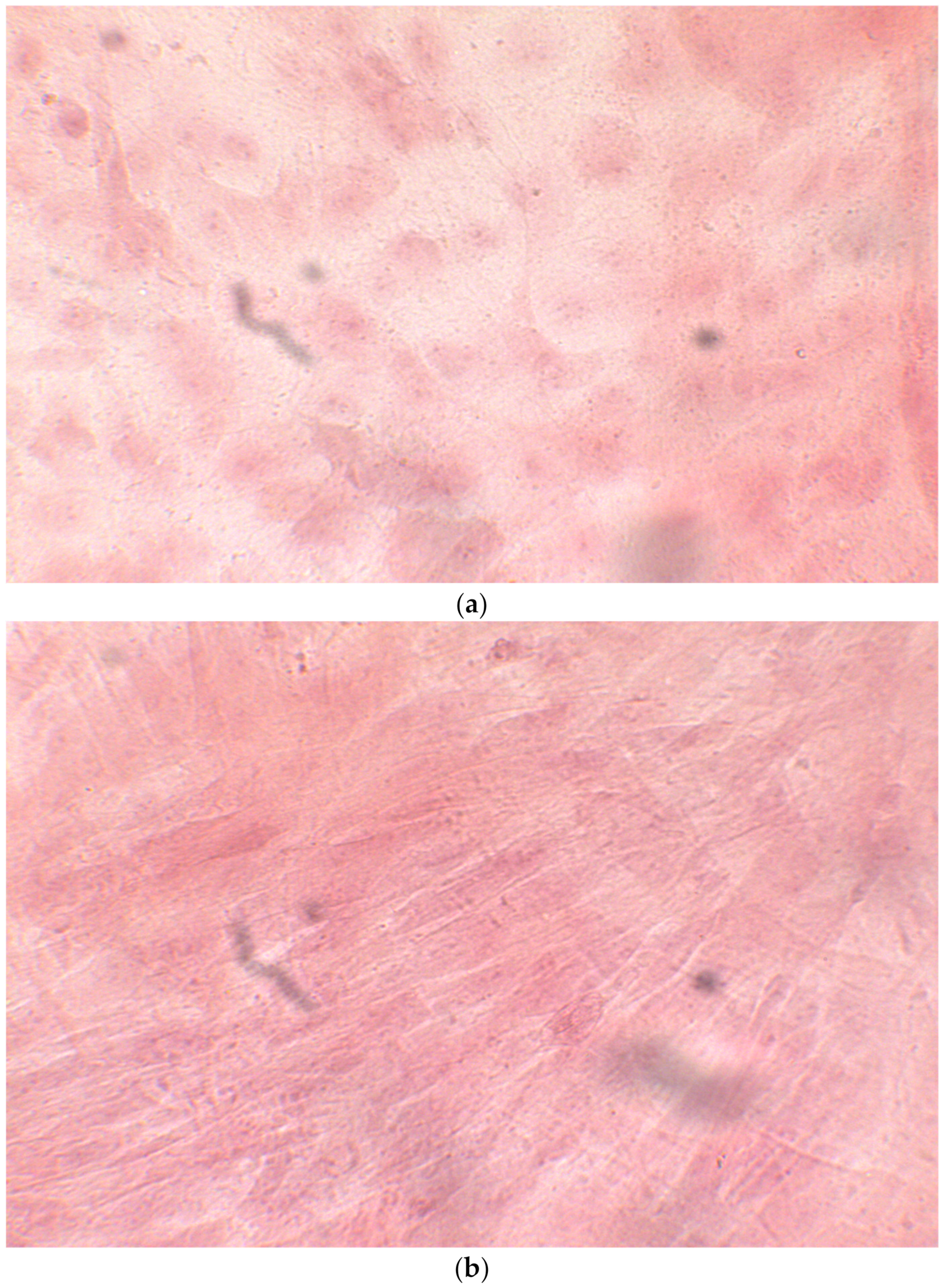 Ijerph 17 01947 g007 Ijerph 17 01947 g007