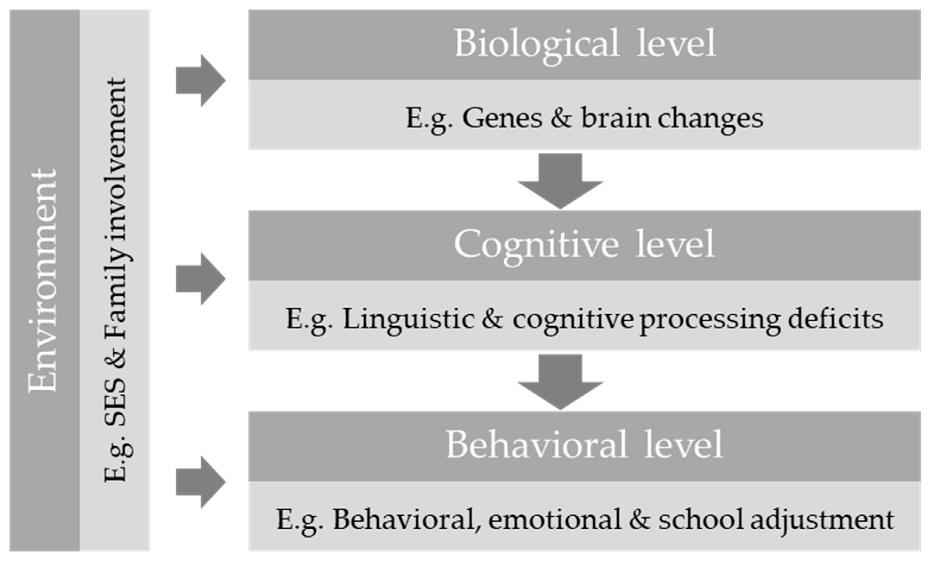 Ijerph 17 01949 g001