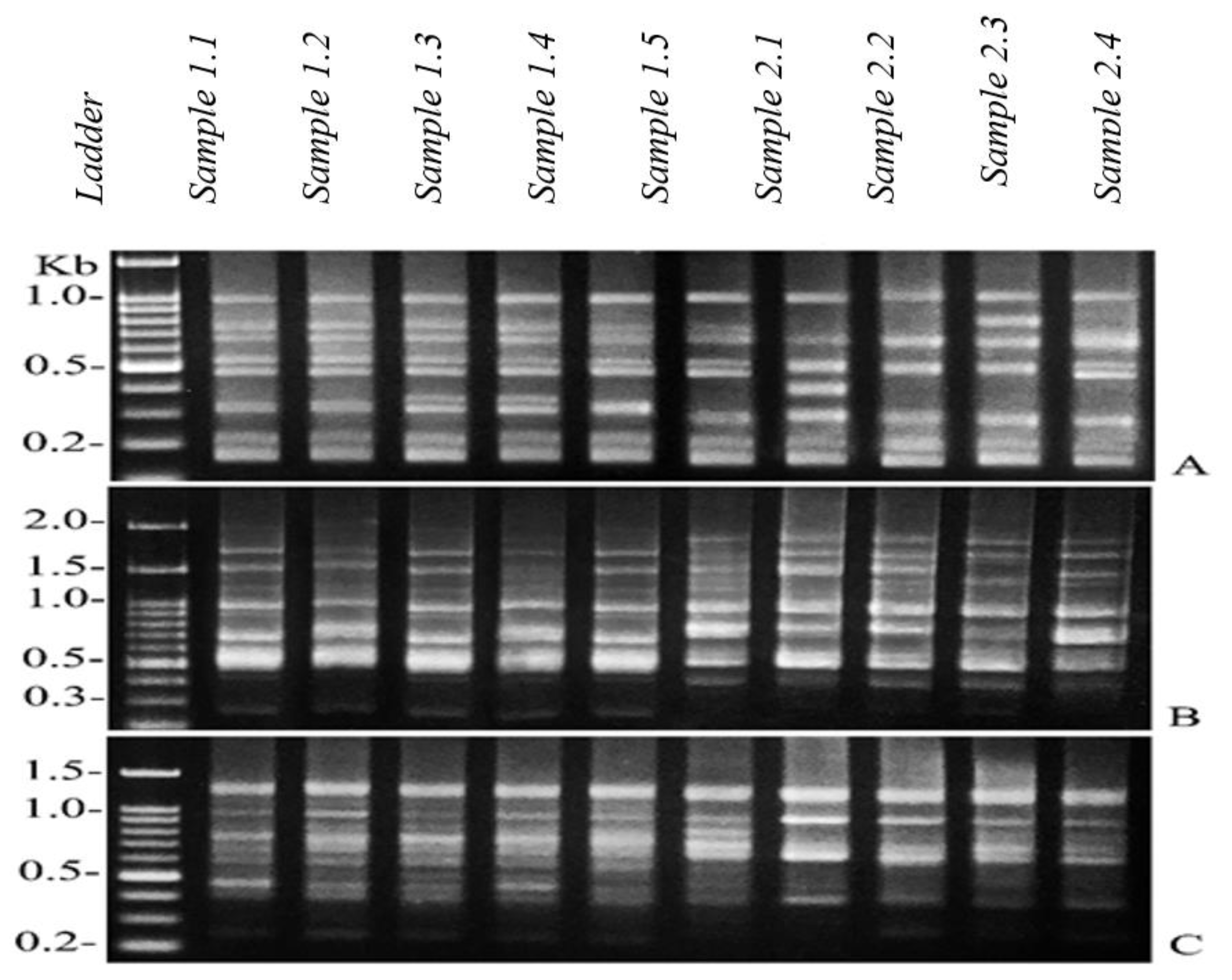 Ijerph 17 01980 g002