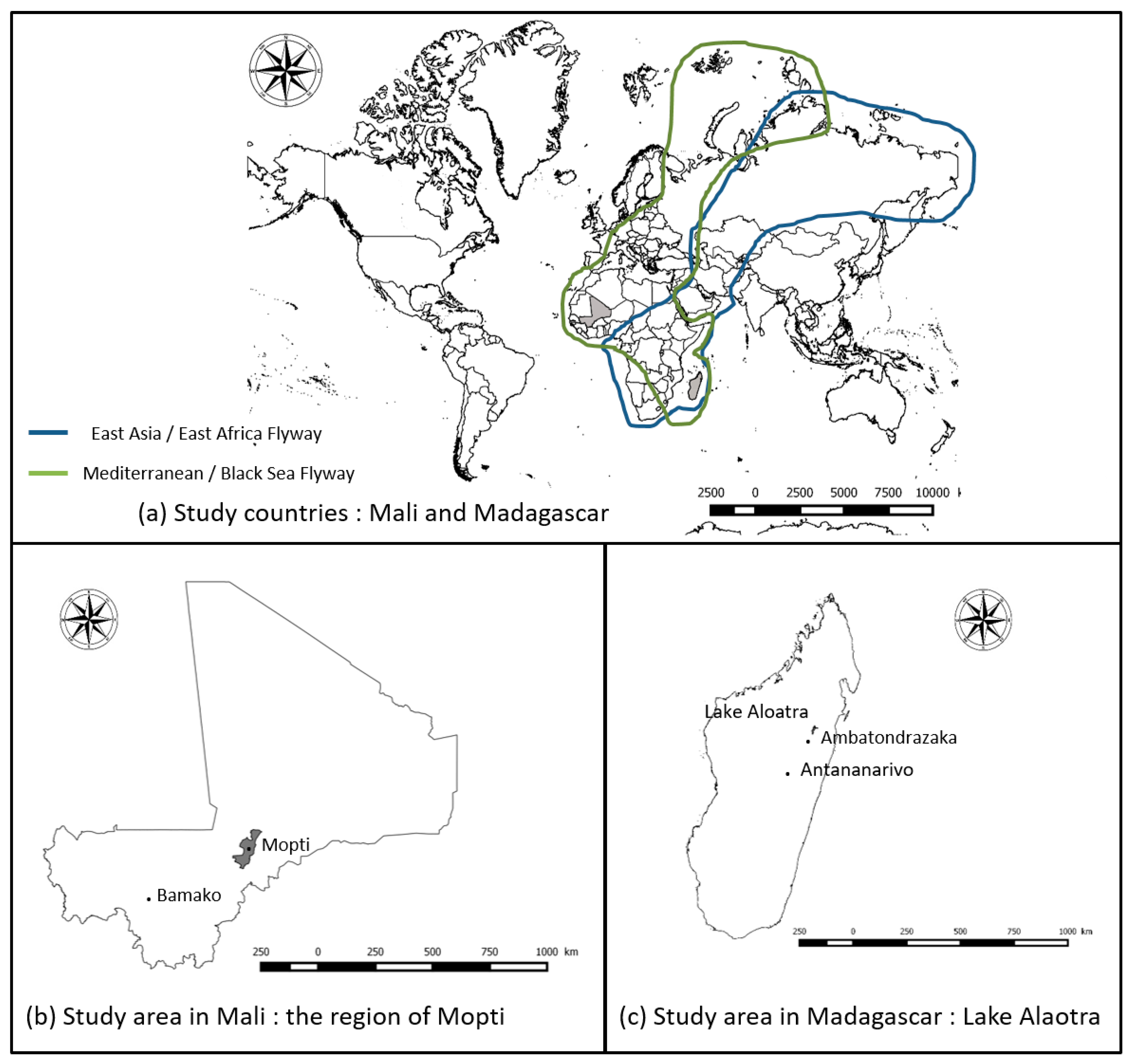 Ijerph 17 01998 g001