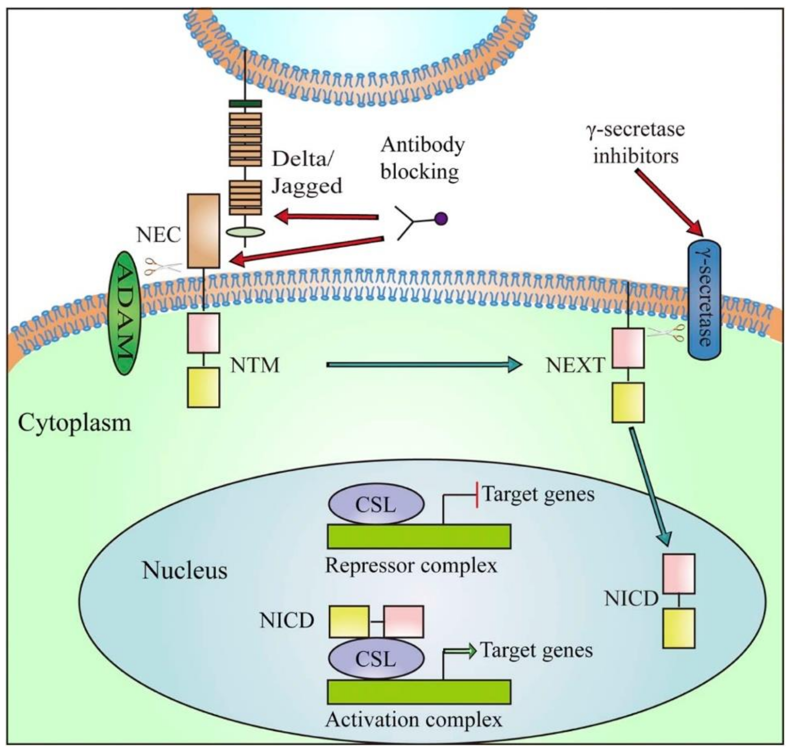 Ijerph 17 02078 g001