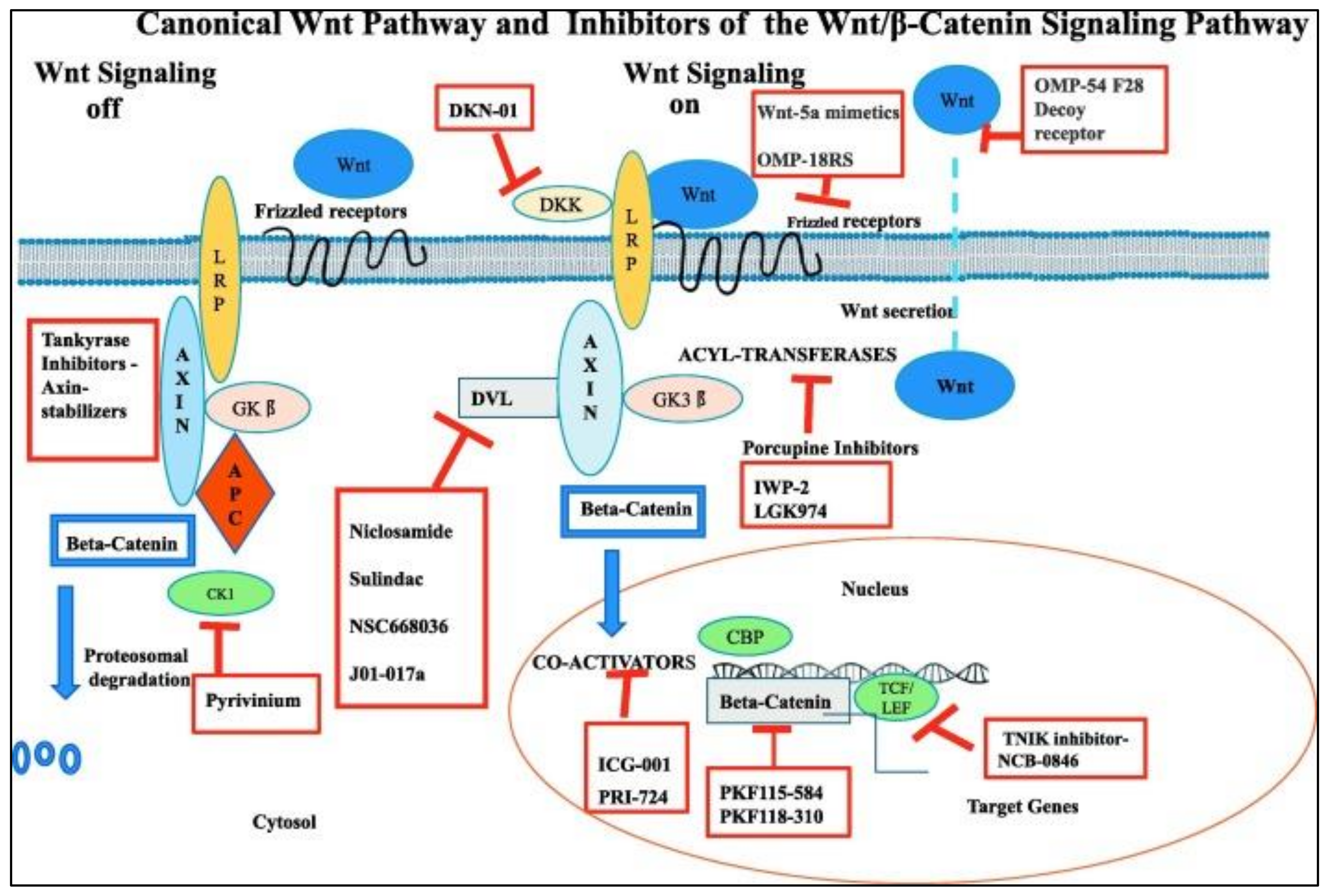 Ijerph 17 02078 g002