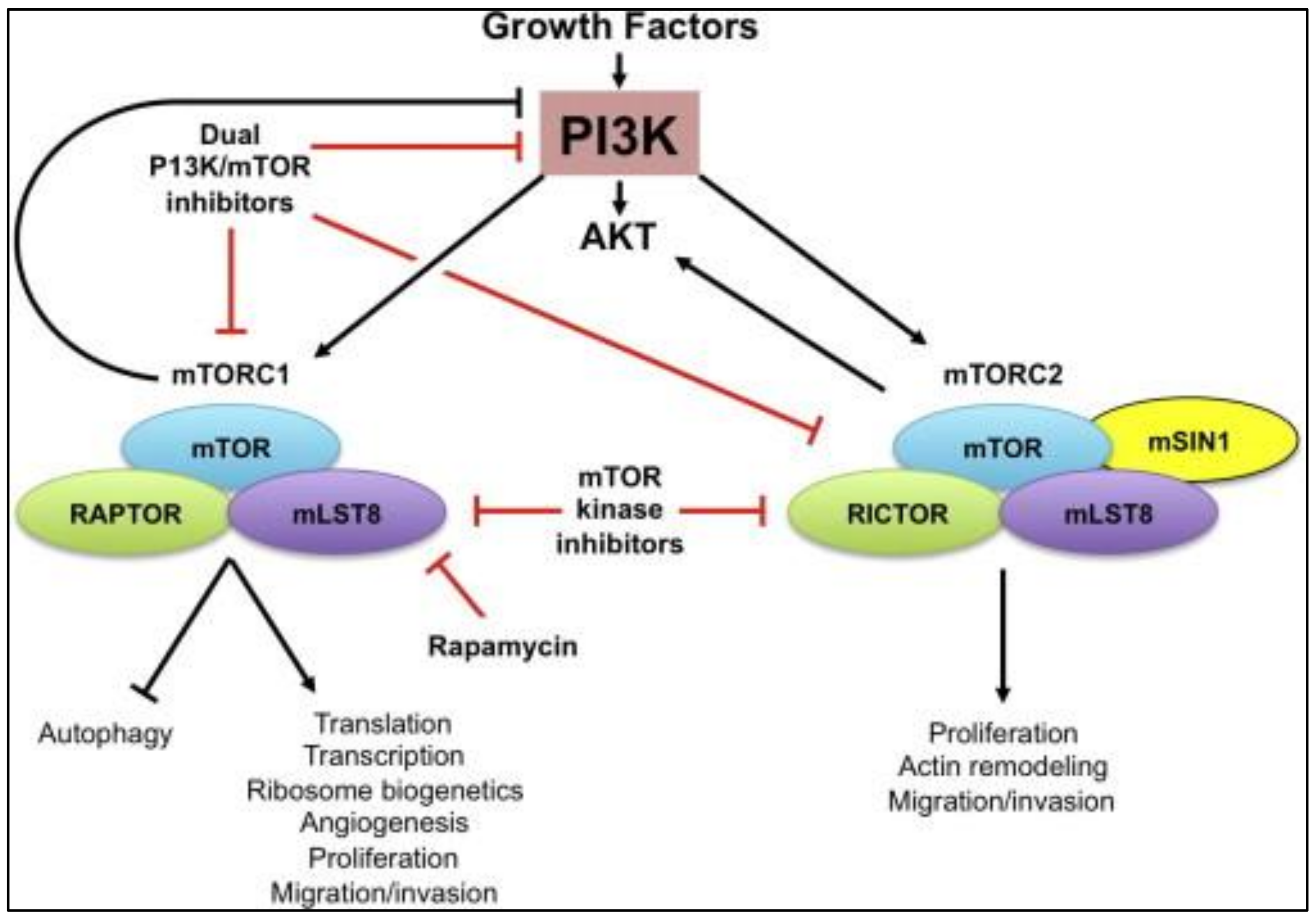Ijerph 17 02078 g004