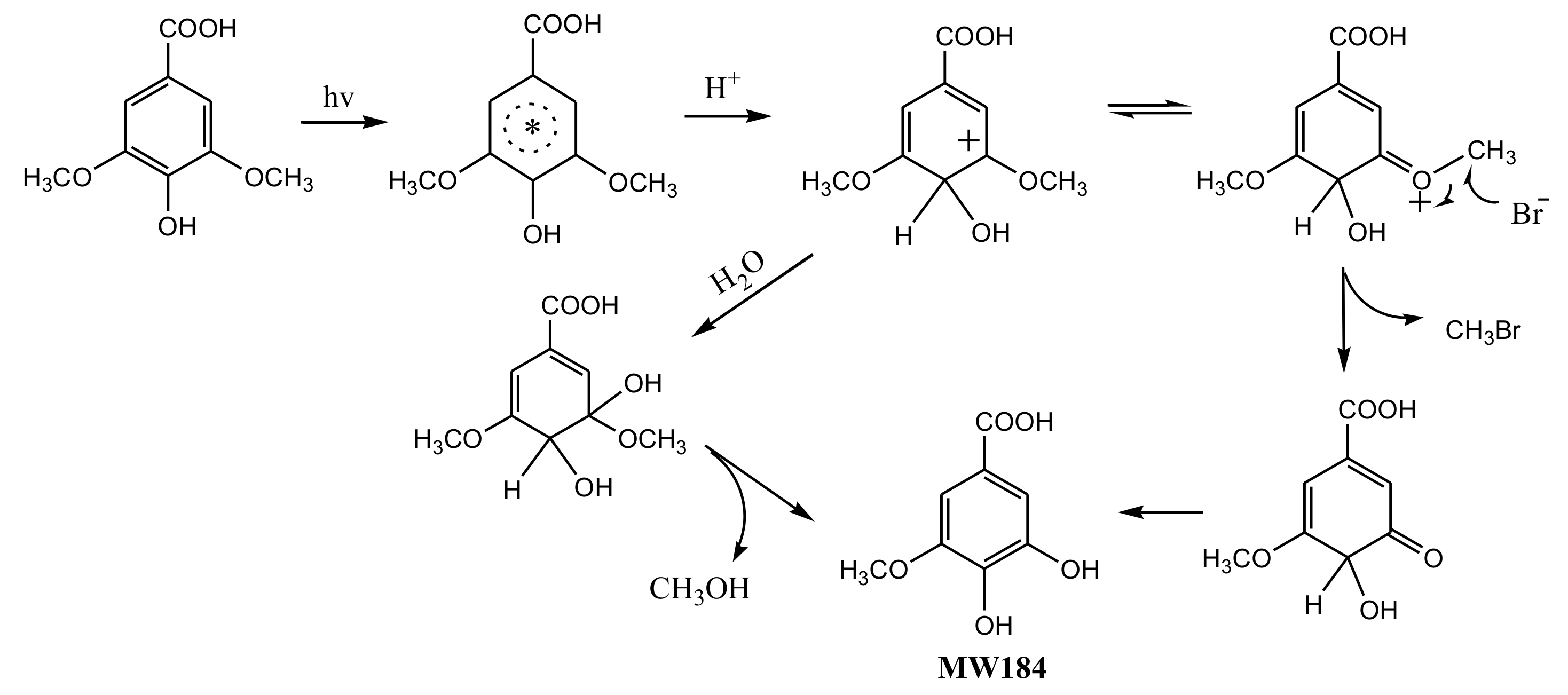 Ijerph 17 02081 g003