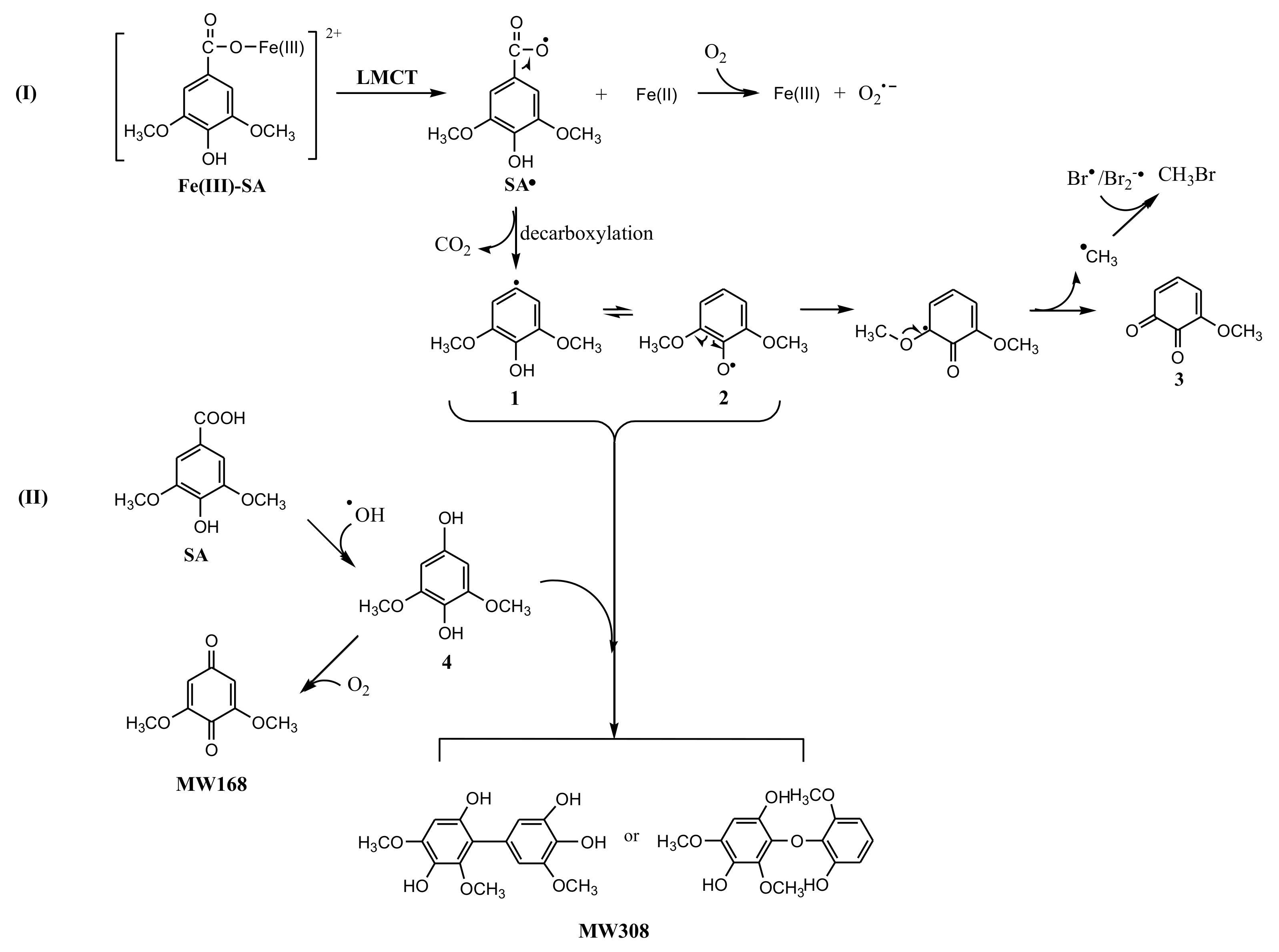 Ijerph 17 02081 g007