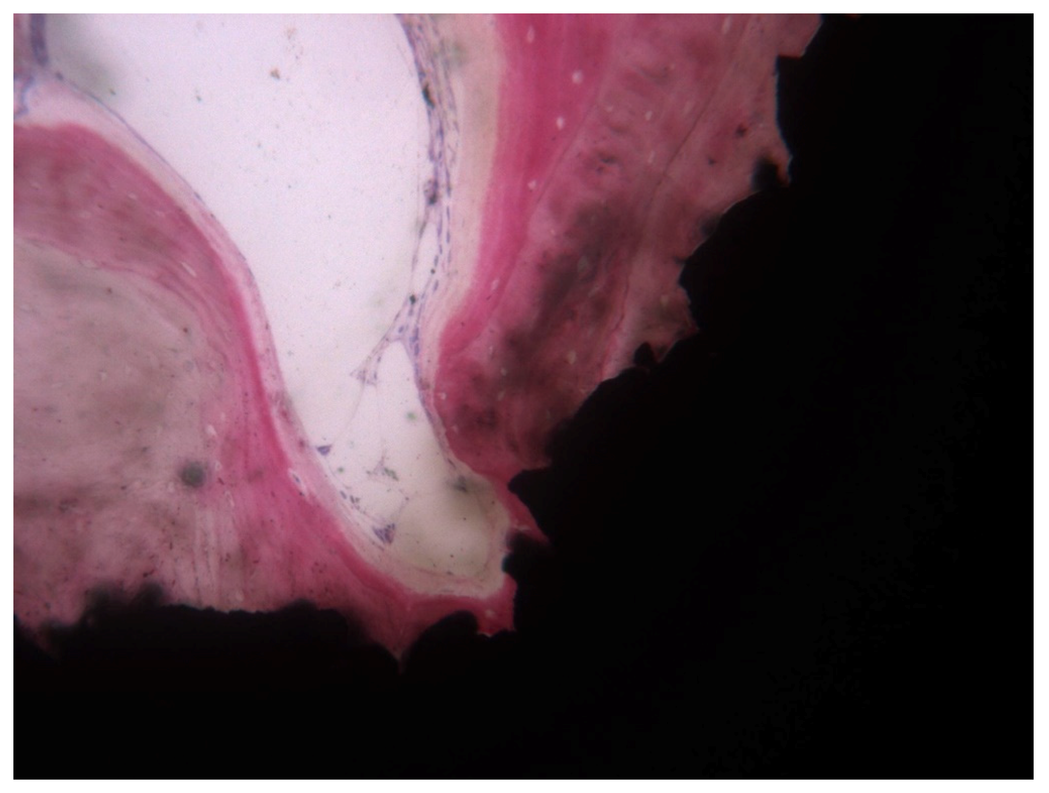 Ijerph 17 02088 g004