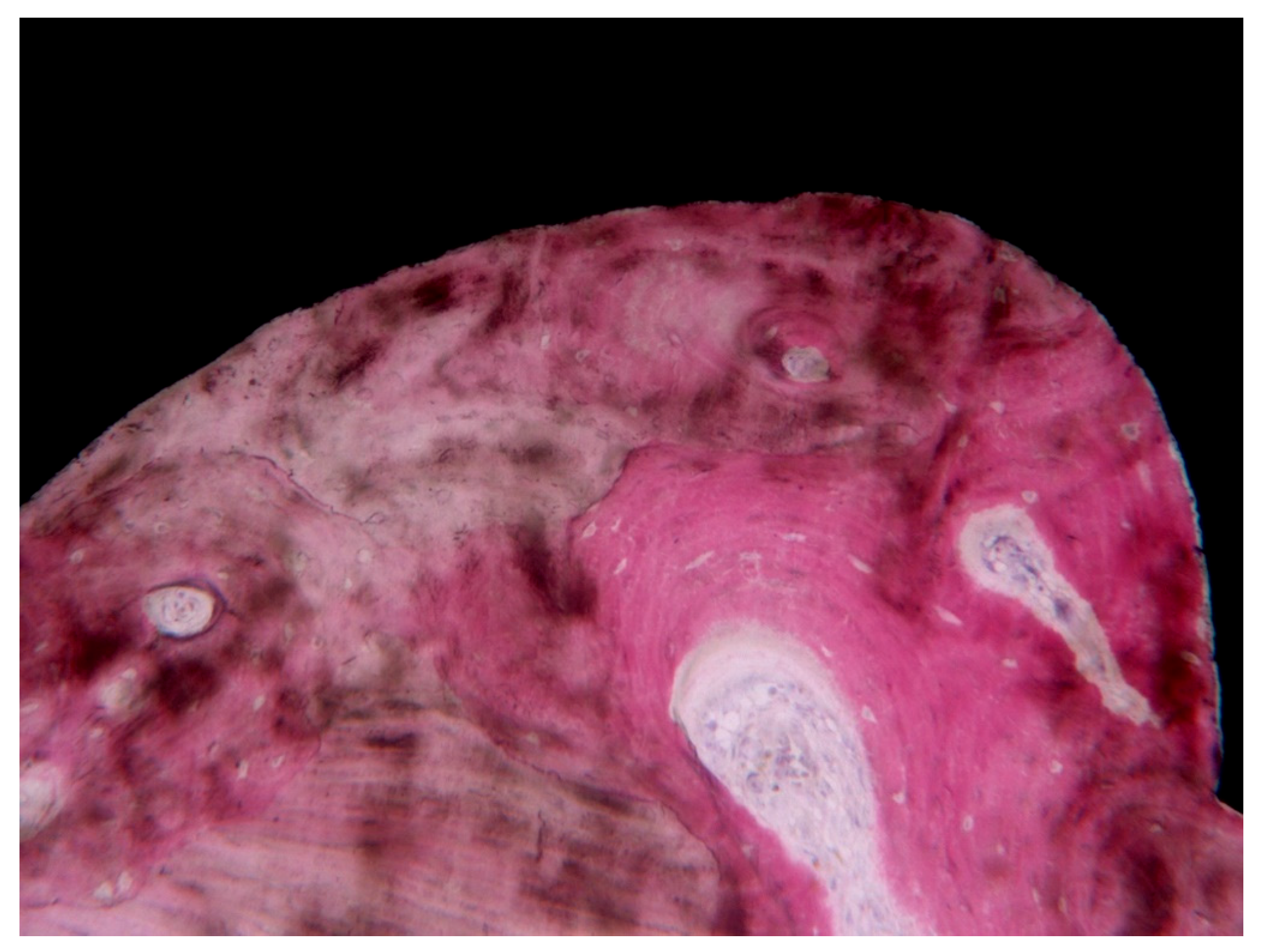 Ijerph 17 02088 g005