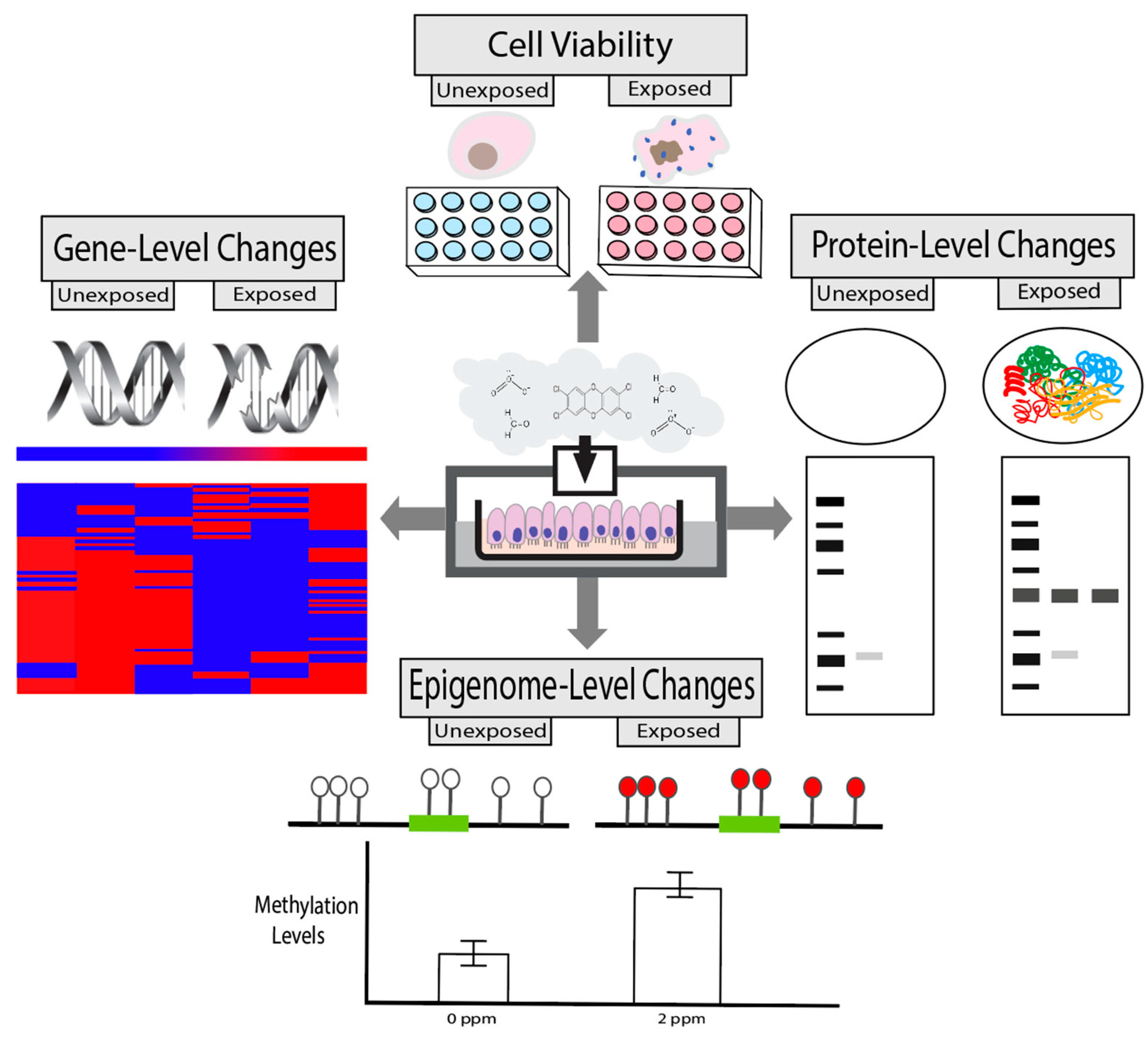 Ijerph 17 02124 g002