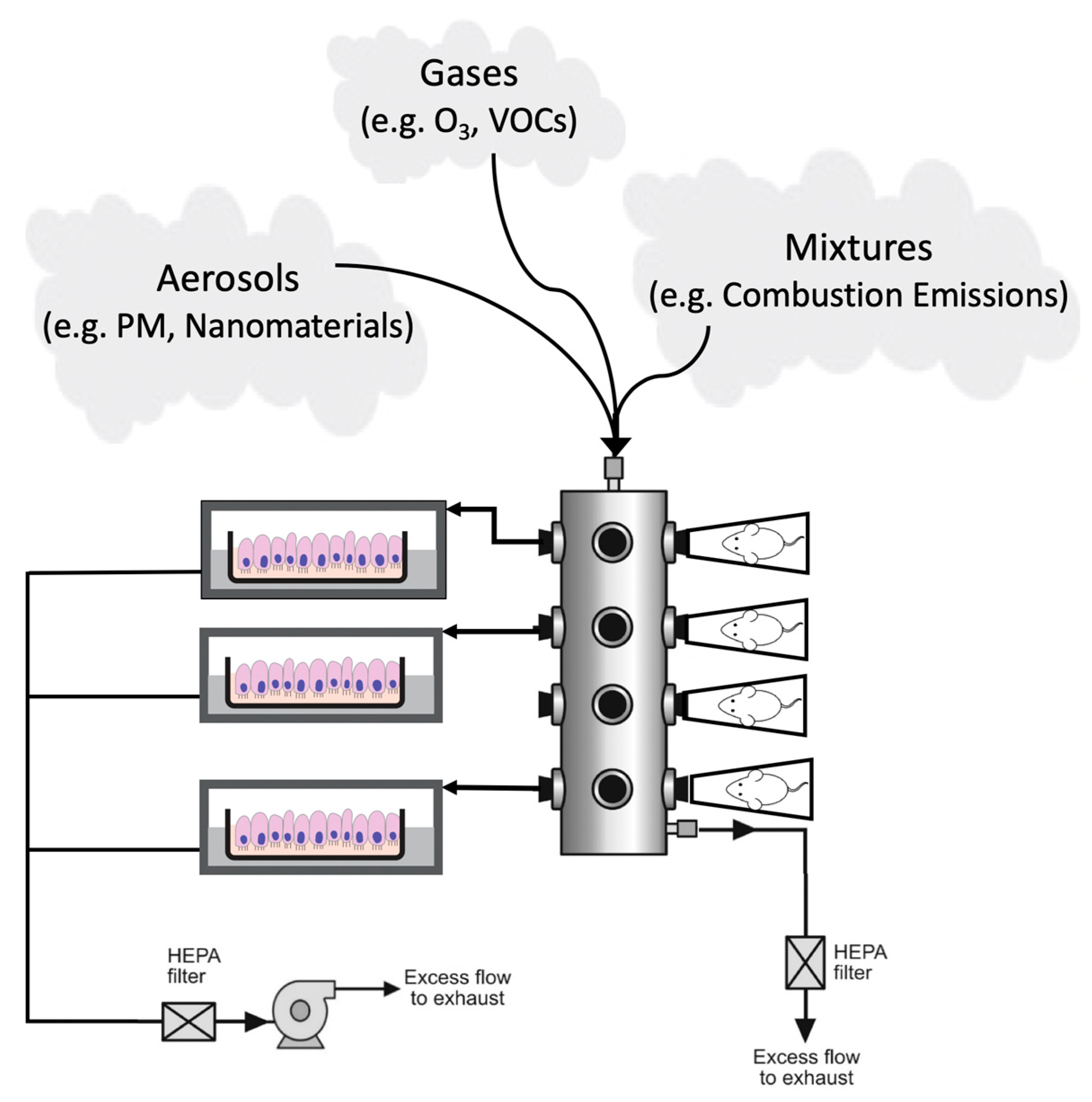 Ijerph 17 02124 g003