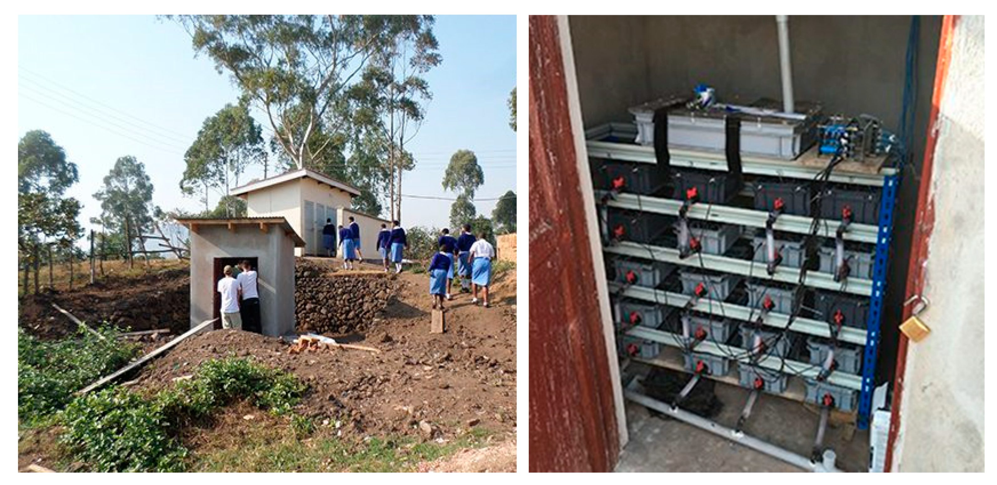 Ijerph 17 02175 g002