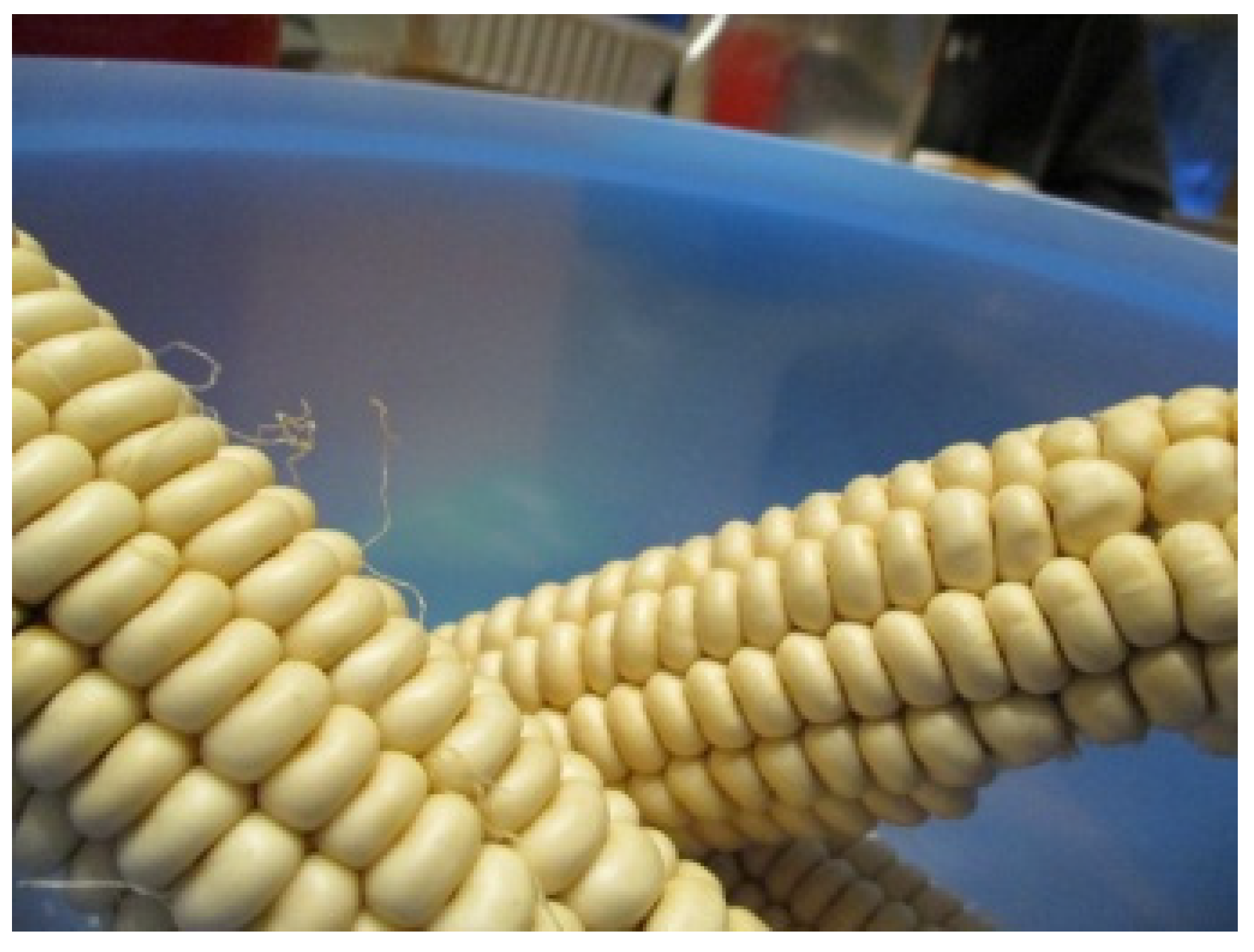 Ijerph 17 02214 g002 Ijerph 17 02214 g002