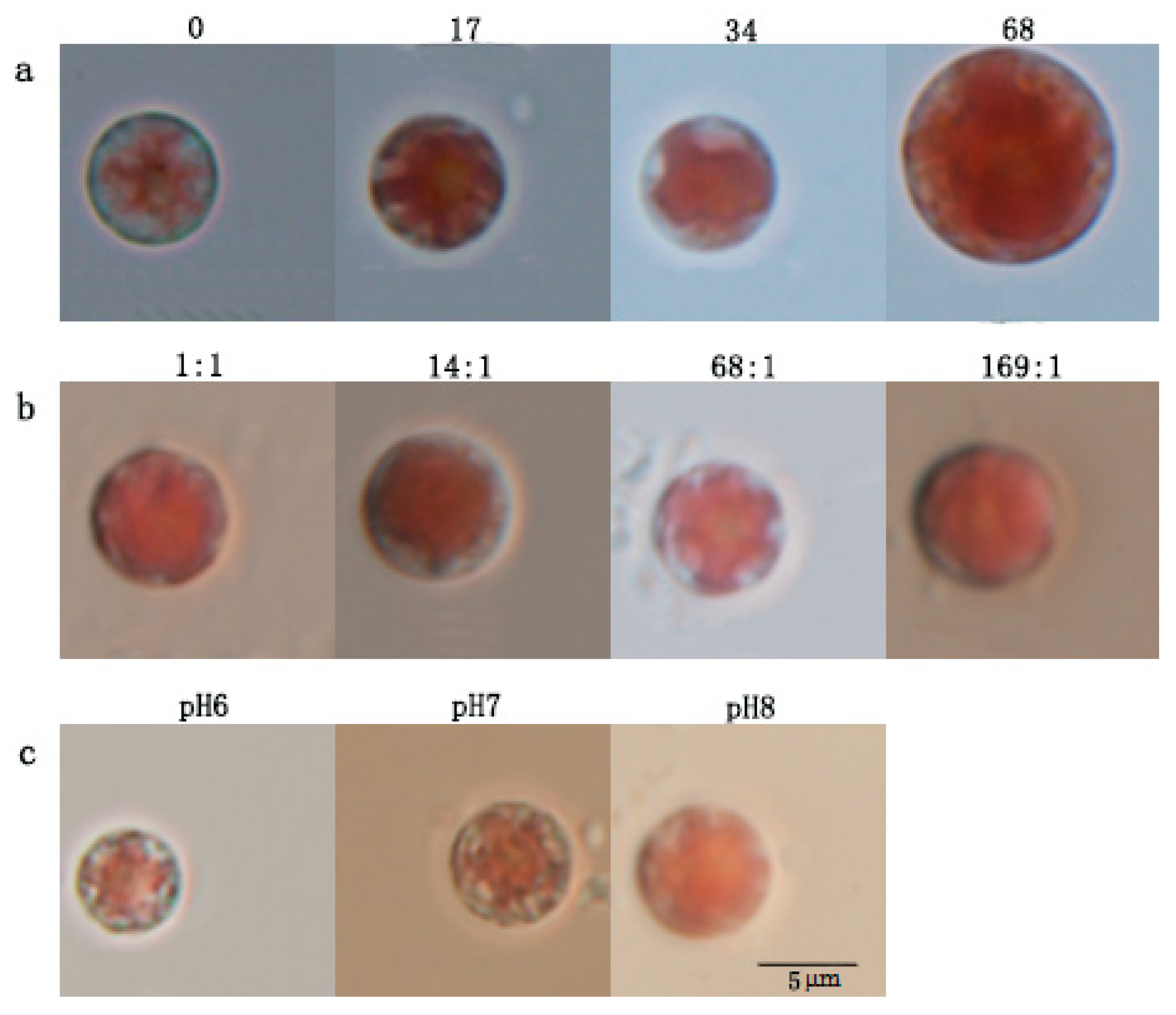 Ijerph 17 02221 g001