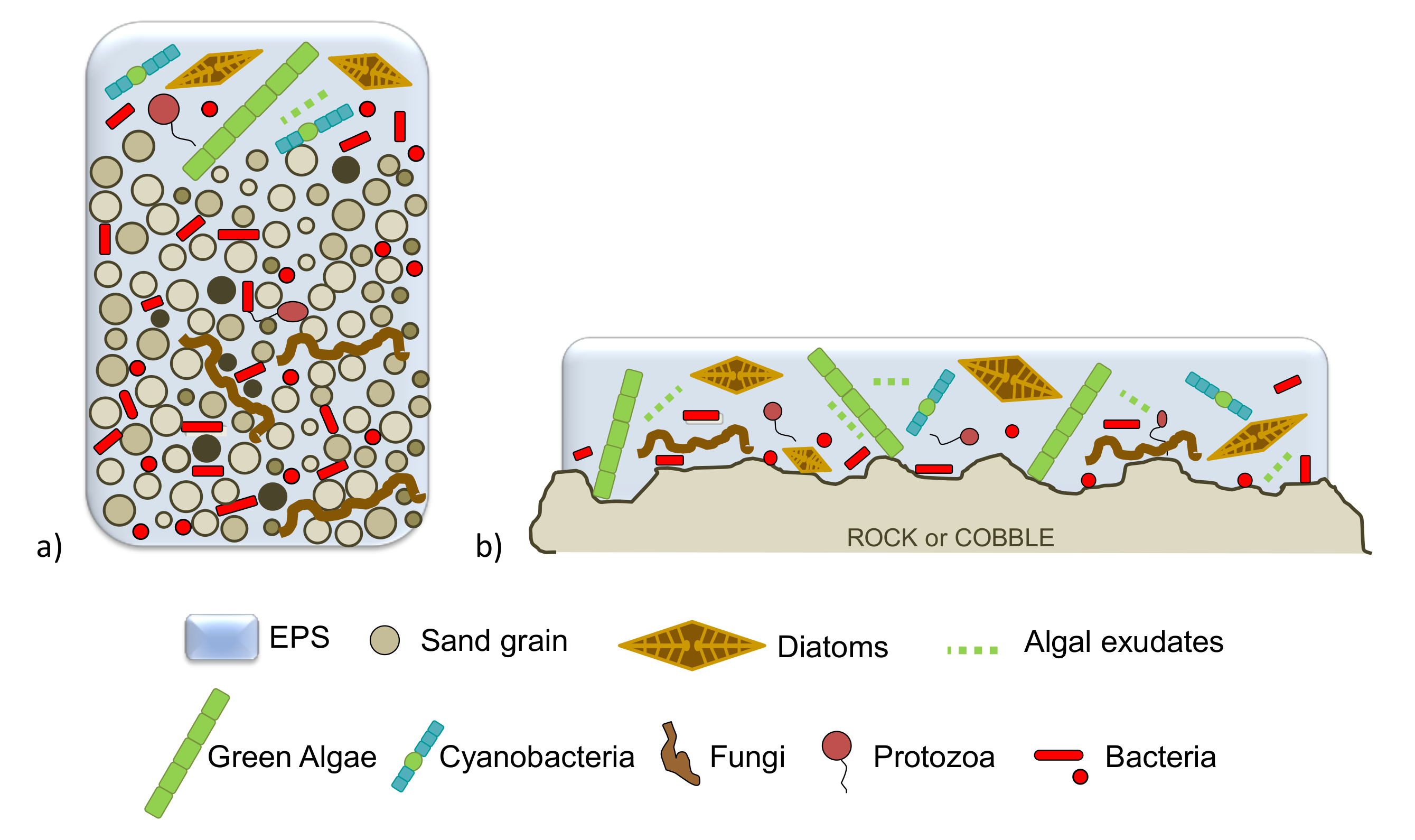 Ijerph 17 02331 g002 Ijerph 17 02331 g002