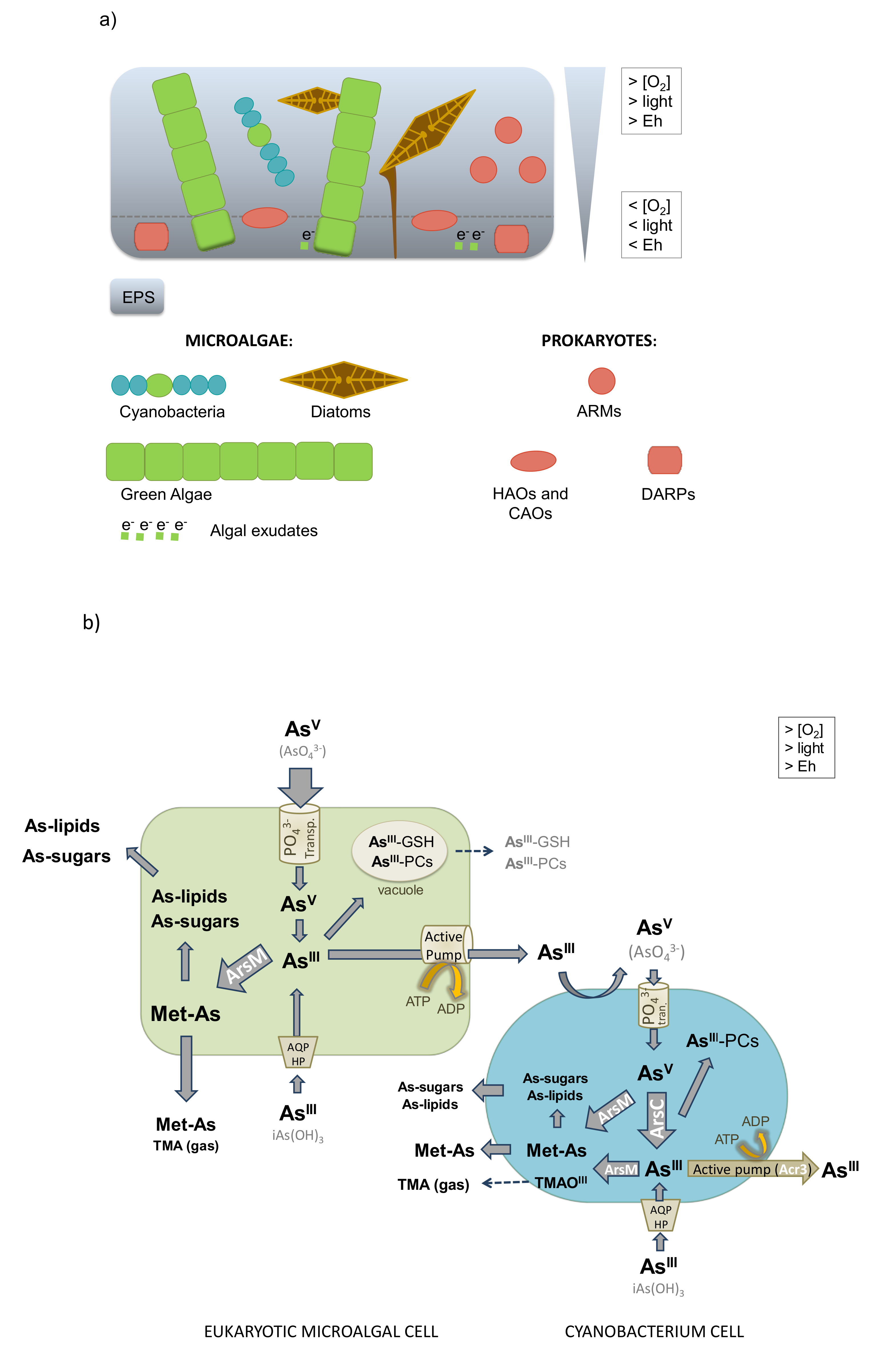 Ijerph 17 02331 g004a Ijerph 17 02331 g004a