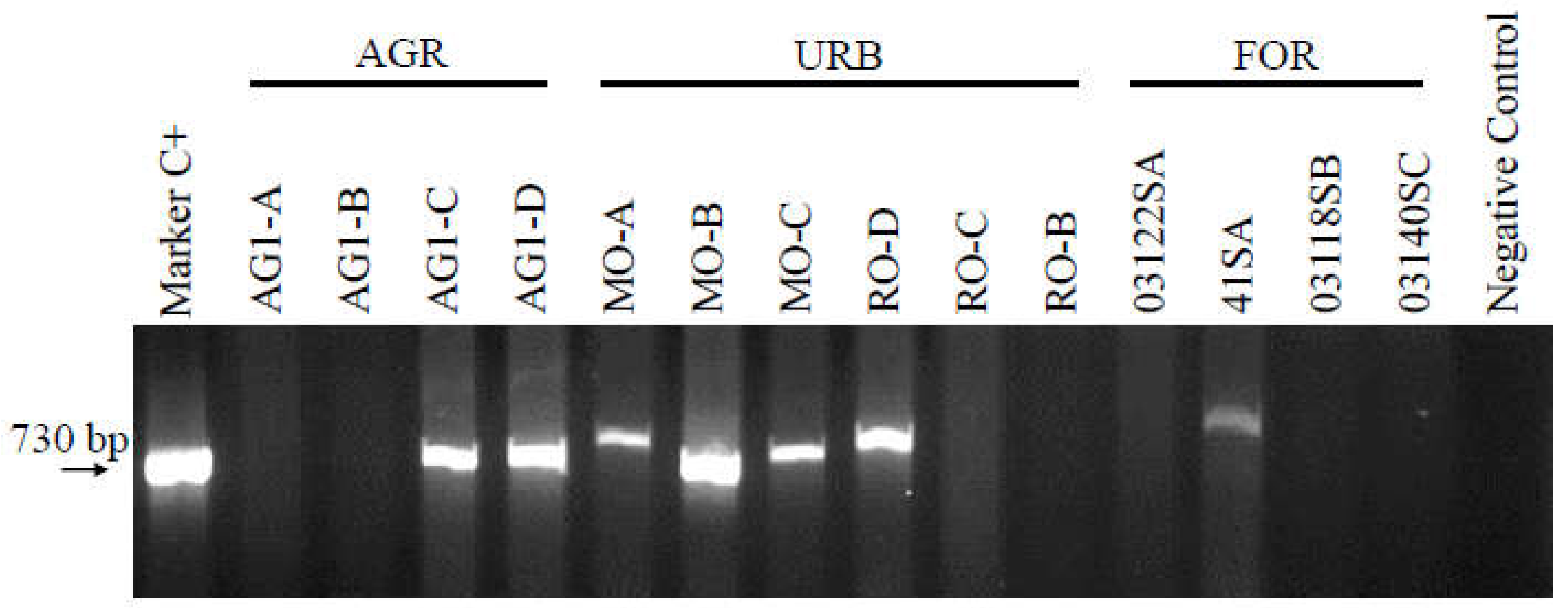 Ijerph 17 02336 g001