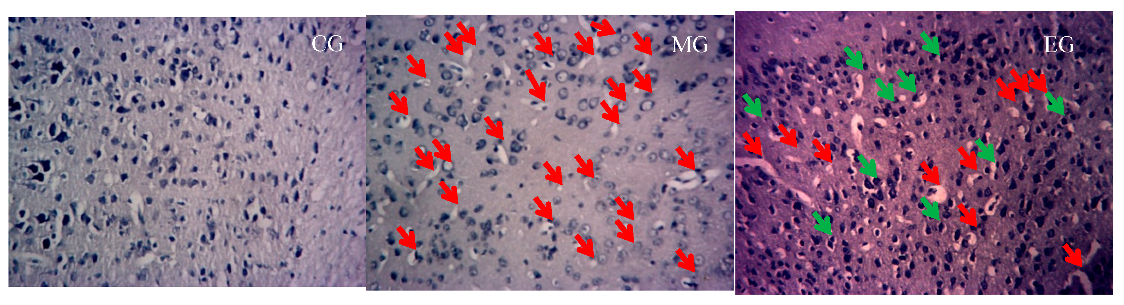 Ijerph 17 02676 g003 Ijerph 17 02676 g003