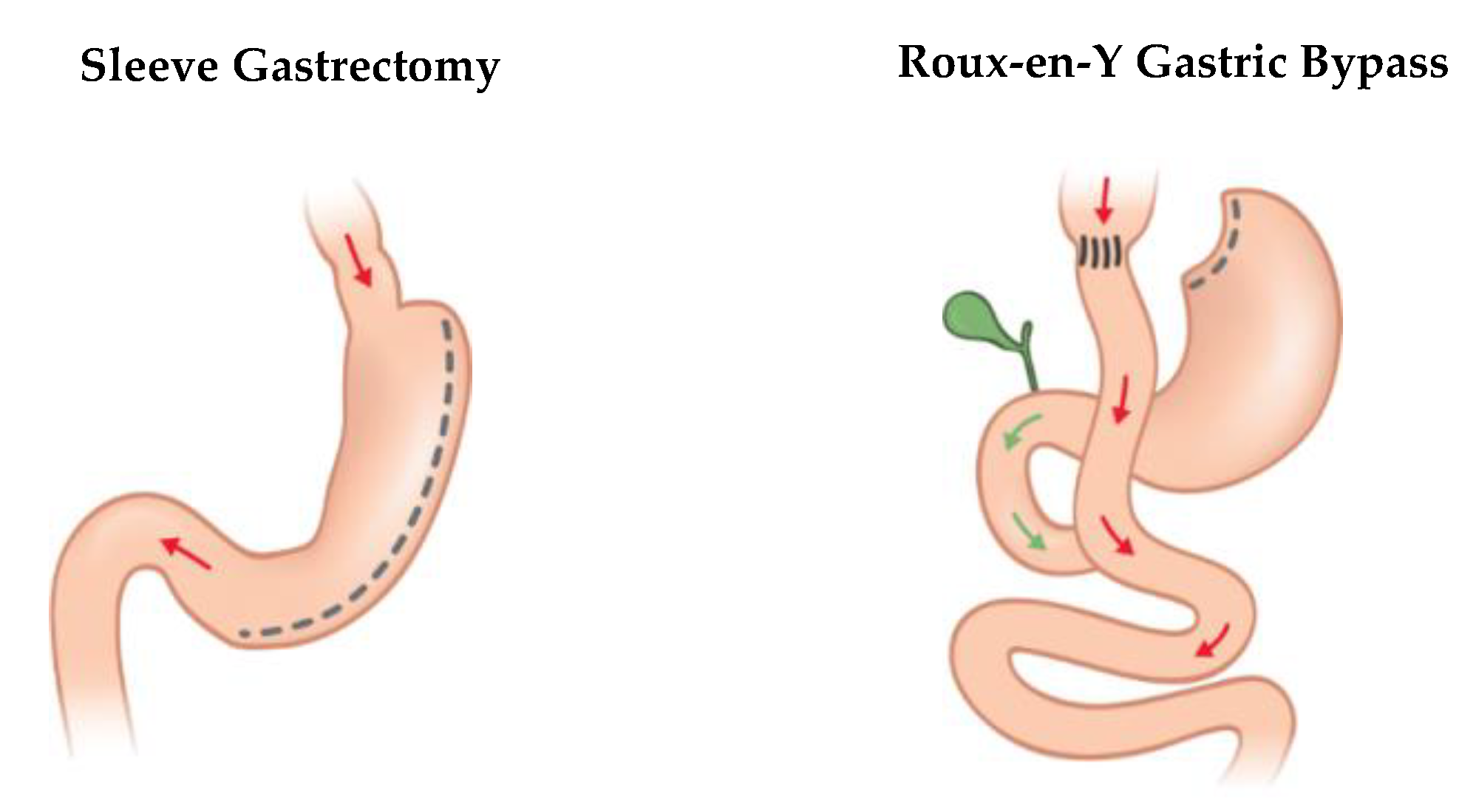 Ijerph 17 02734 g001