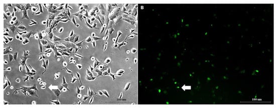 Ijerph 17 02766 g0a1