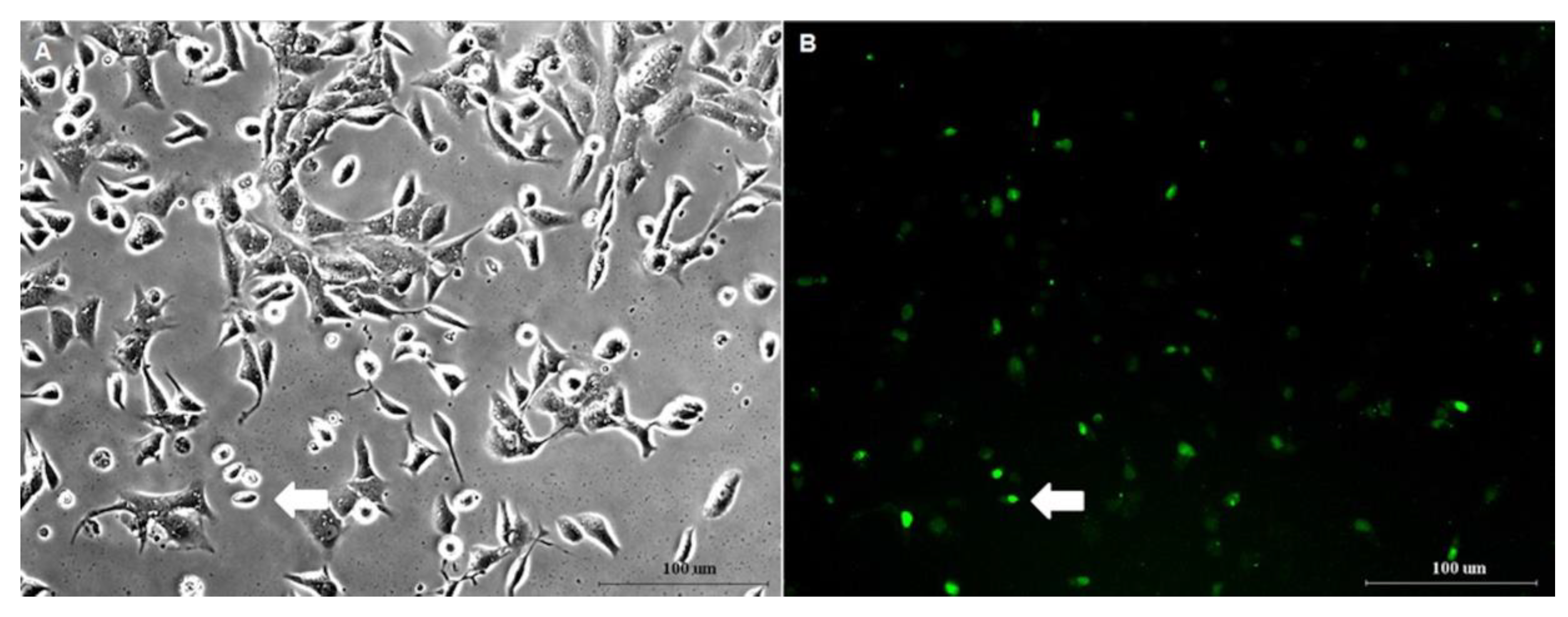 Ijerph 17 02766 g0a1