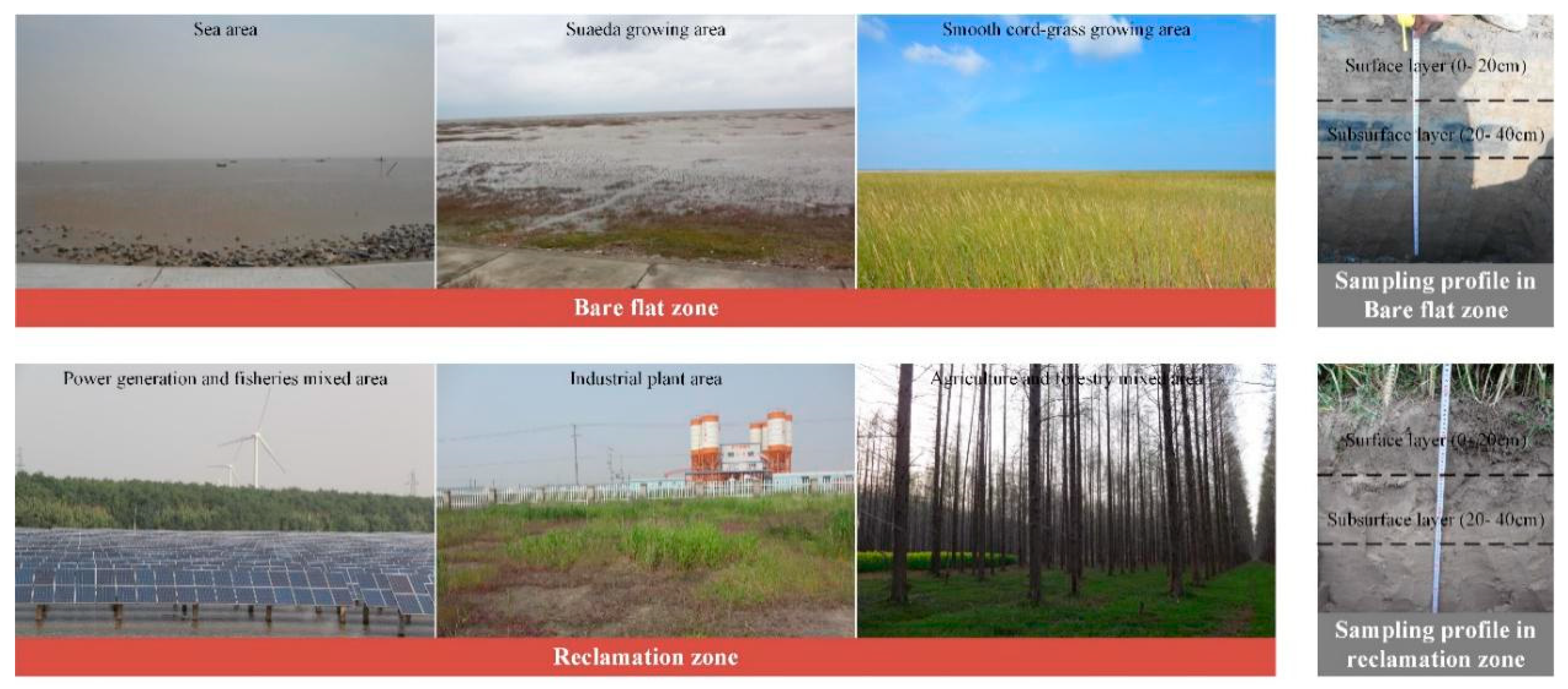 Ijerph 17 02822 g002