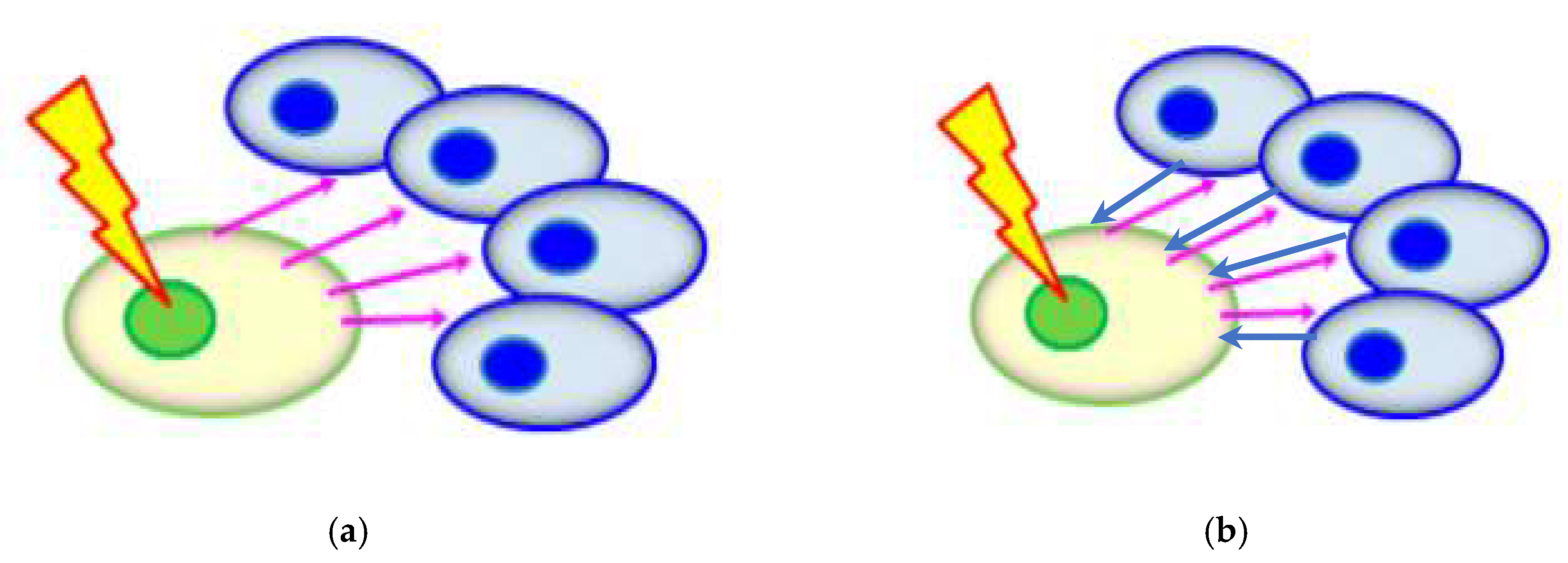 Ijerph 17 02898 g005 Ijerph 17 02898 g005