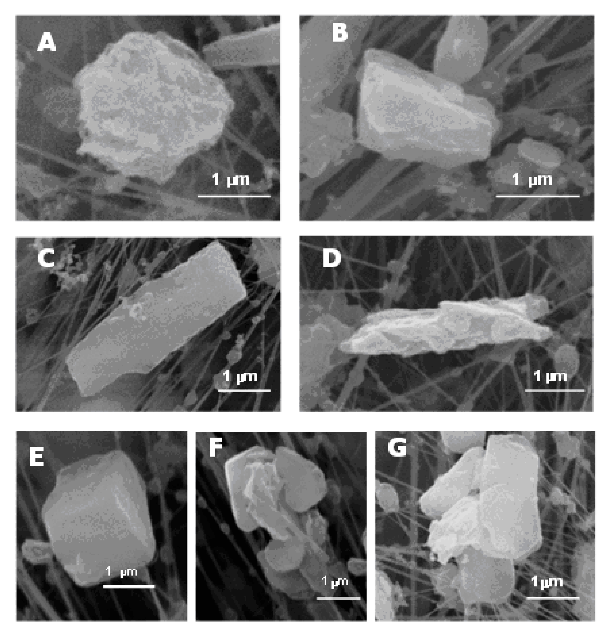 Ijerph 17 03183 g002