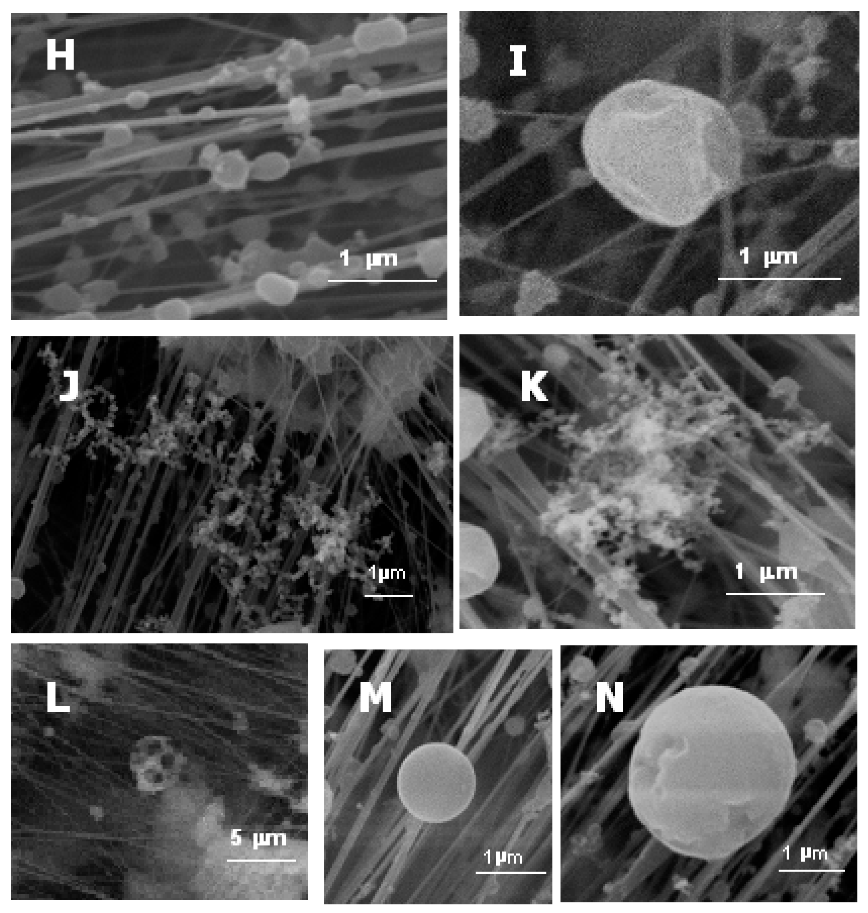 Ijerph 17 03183 g003