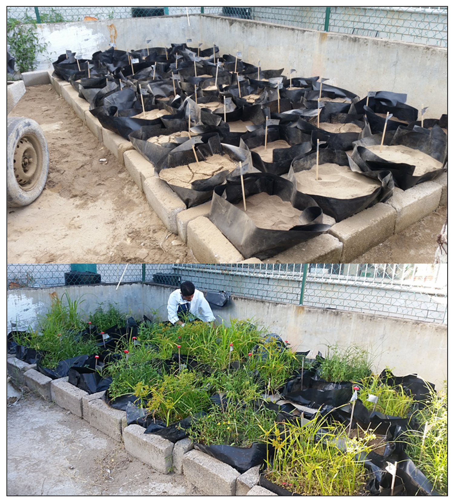 Ijerph 17 03213 g001