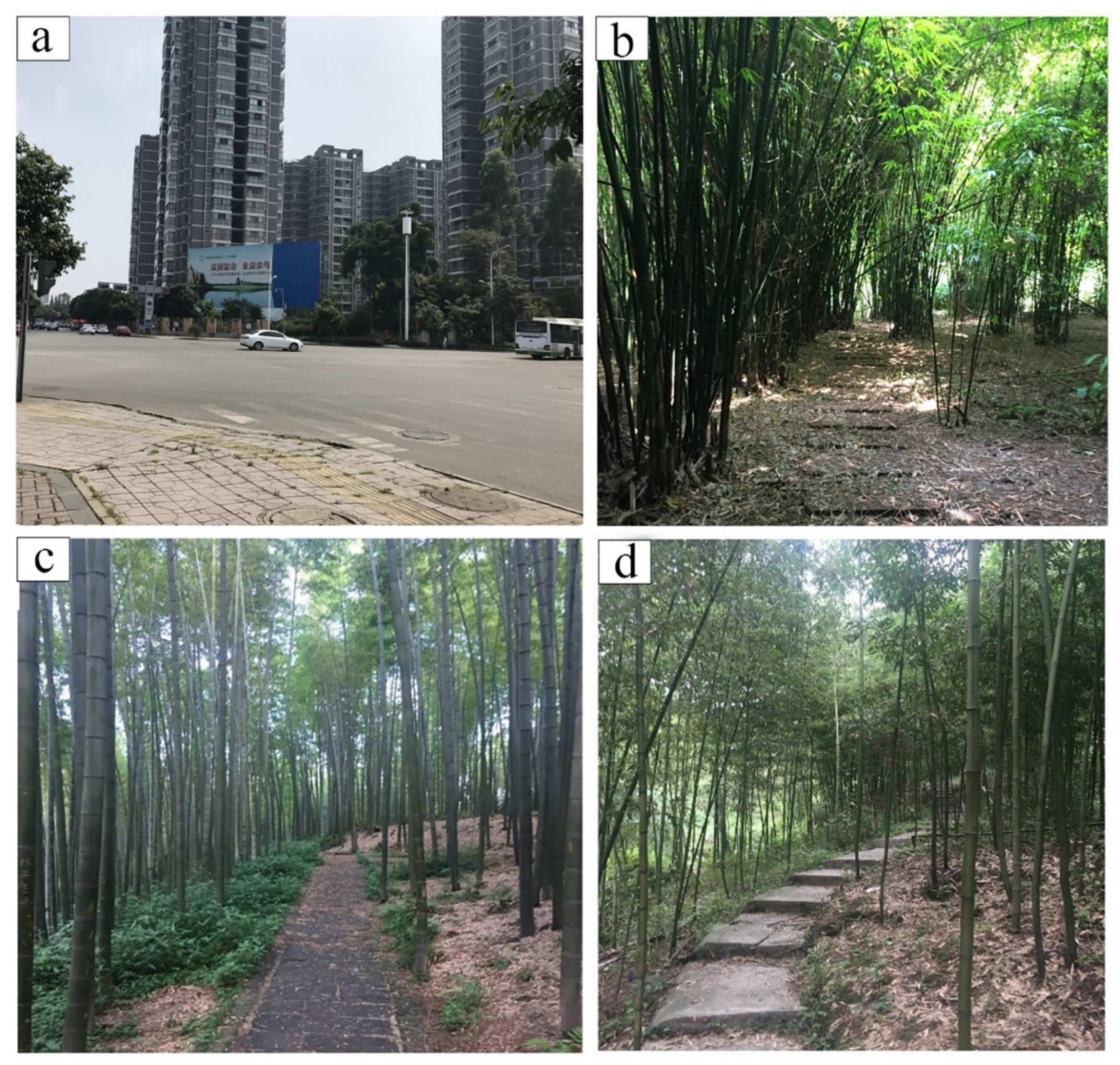 Ijerph 17 03238 g002 Ijerph 17 03238 g002