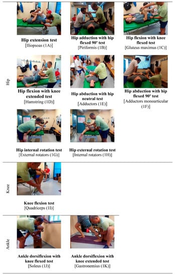 Ijerph 17 03295 g0a1