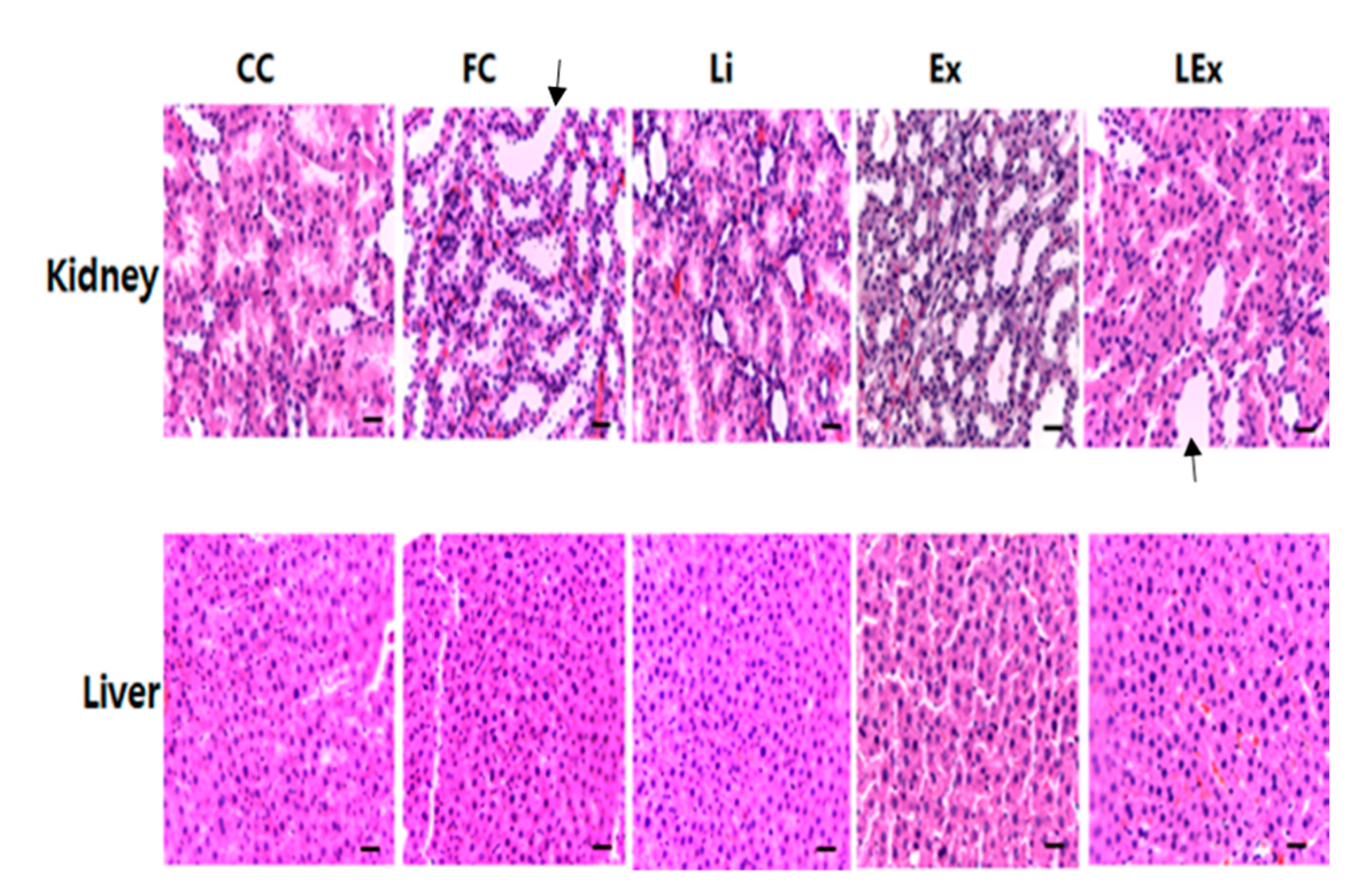 Ijerph 17 03317 g001 Ijerph 17 03317 g001