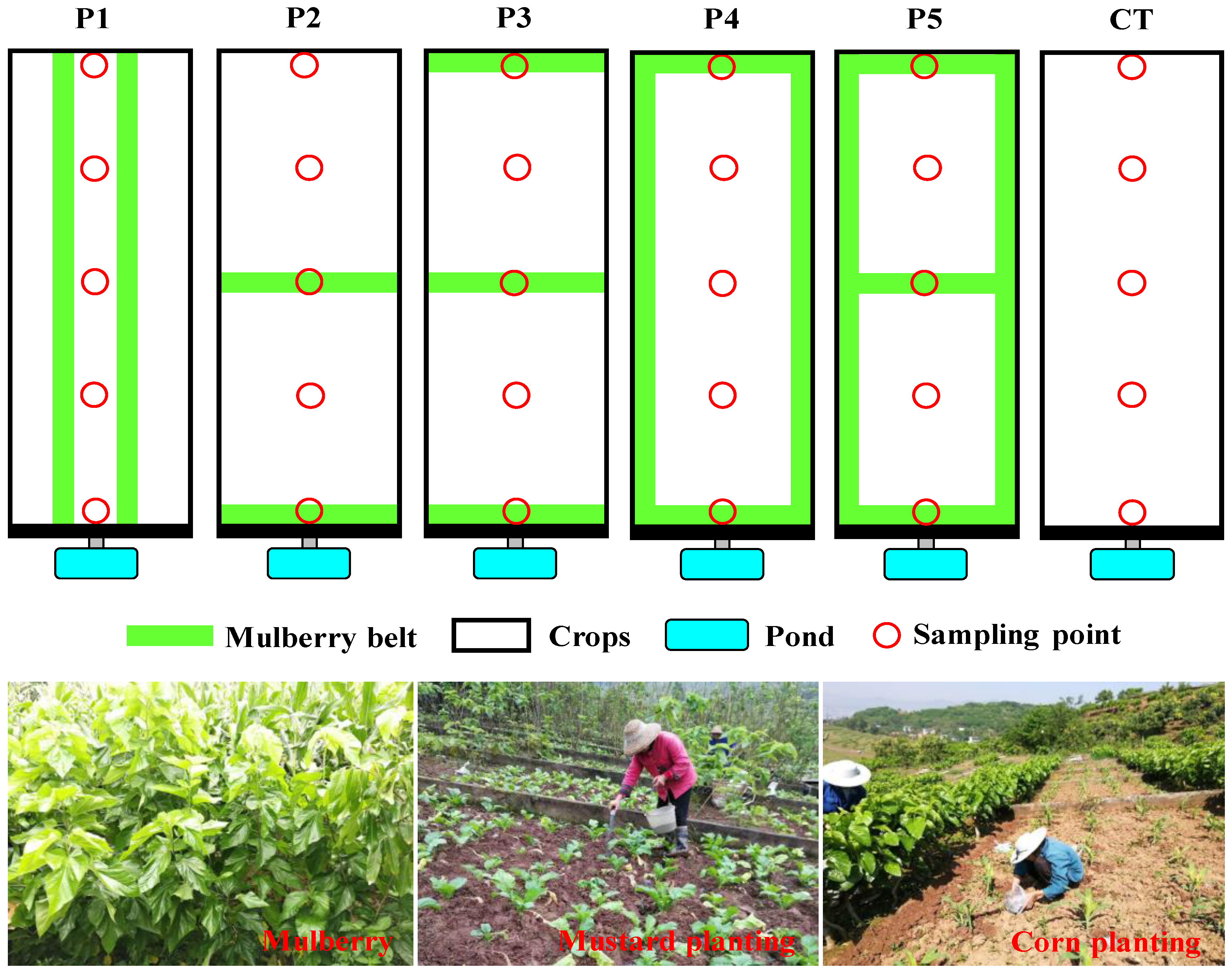 Ijerph 17 03599 g002 Ijerph 17 03599 g002