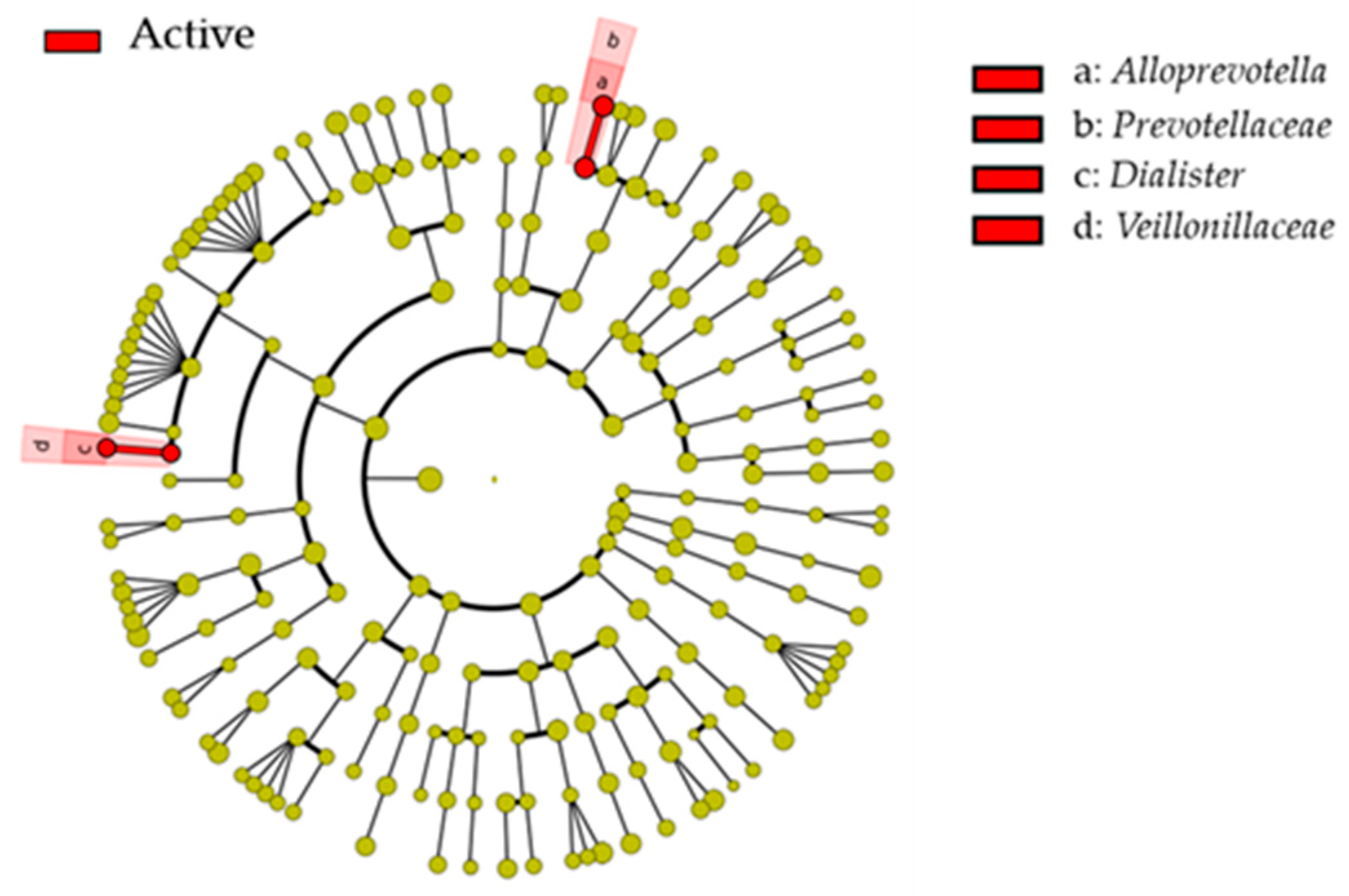 Ijerph 17 03713 g003
