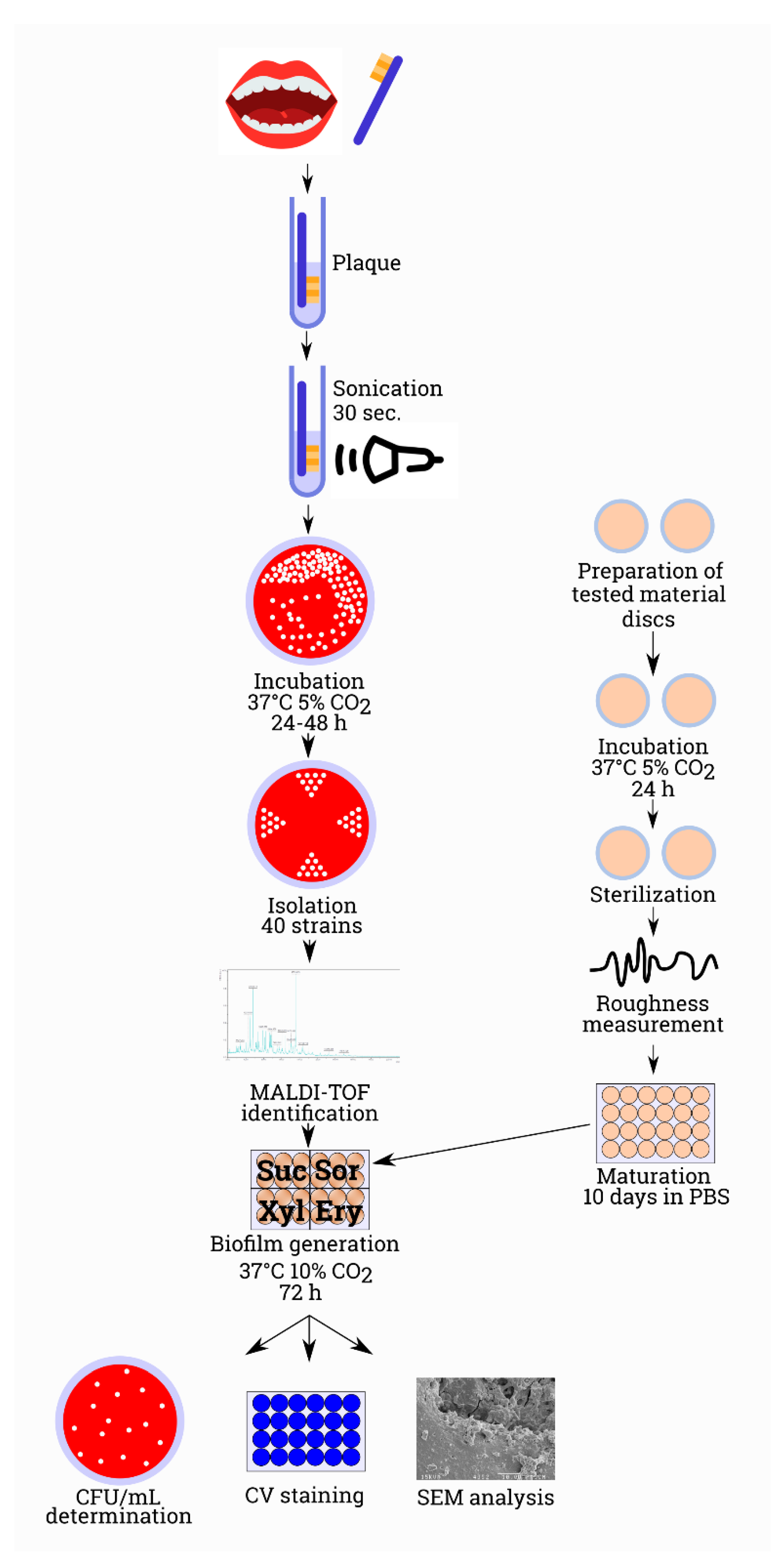 Ijerph 17 03720 g001 Ijerph 17 03720 g001