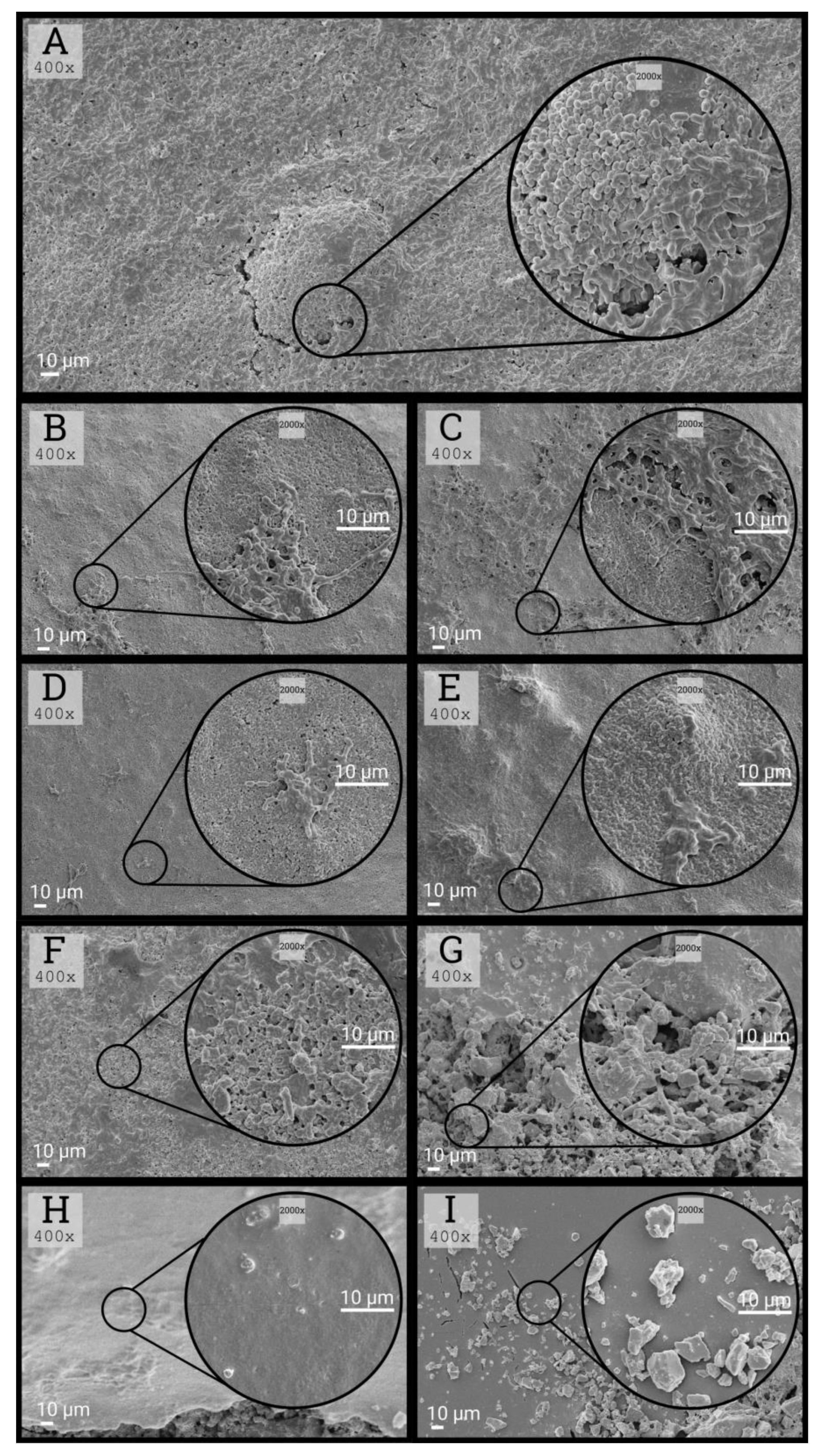 Ijerph 17 03720 g005 Ijerph 17 03720 g005