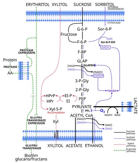 Ijerph 17 03720 g0a1