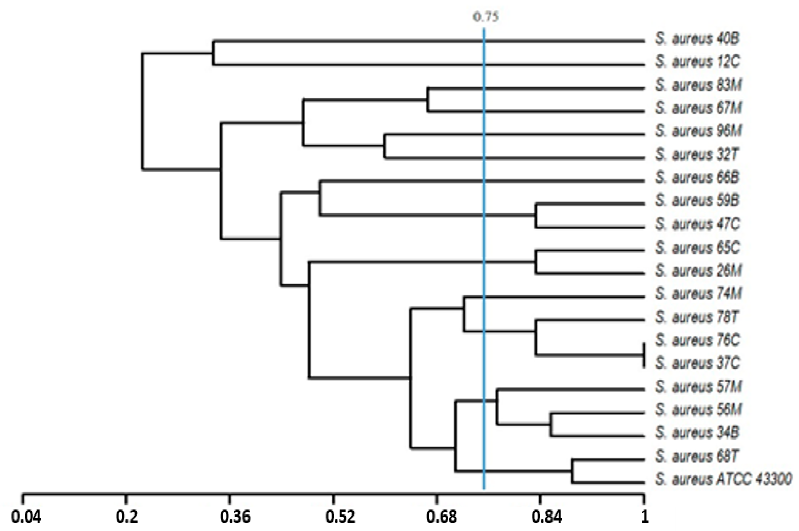 Ijerph 17 03761 g004