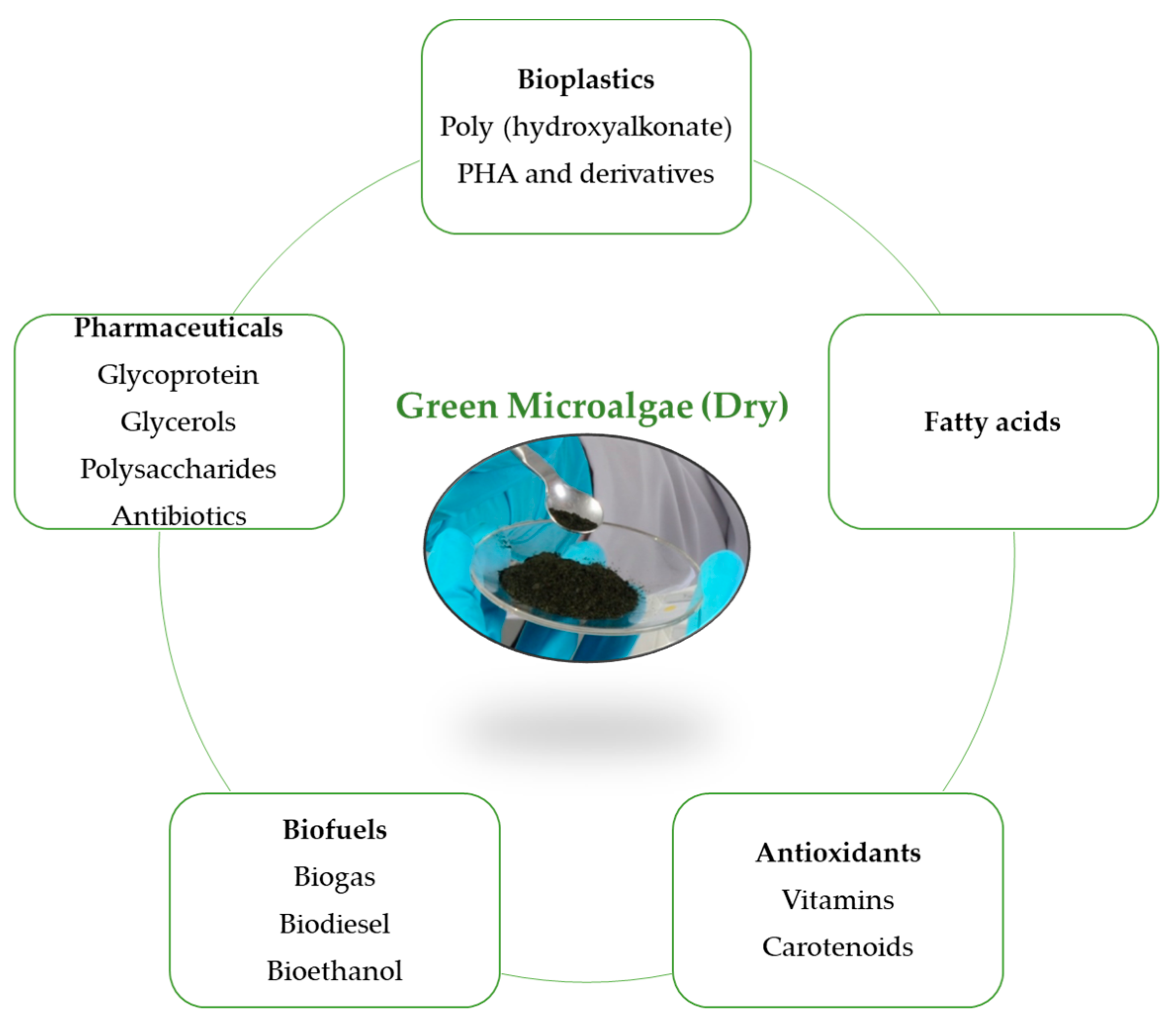 Ijerph 17 03842 g004