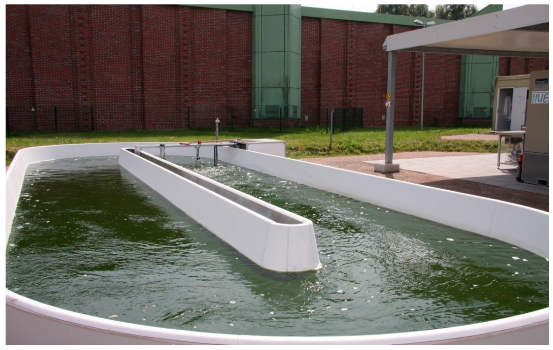 Ijerph 17 03842 g005