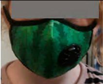 Ijerph 17 03935 i001 Ijerph 17 03935 i001