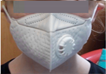 Ijerph 17 03935 i002 Ijerph 17 03935 i002