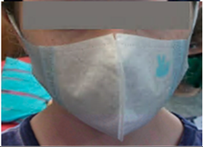 Ijerph 17 03935 i003 Ijerph 17 03935 i003