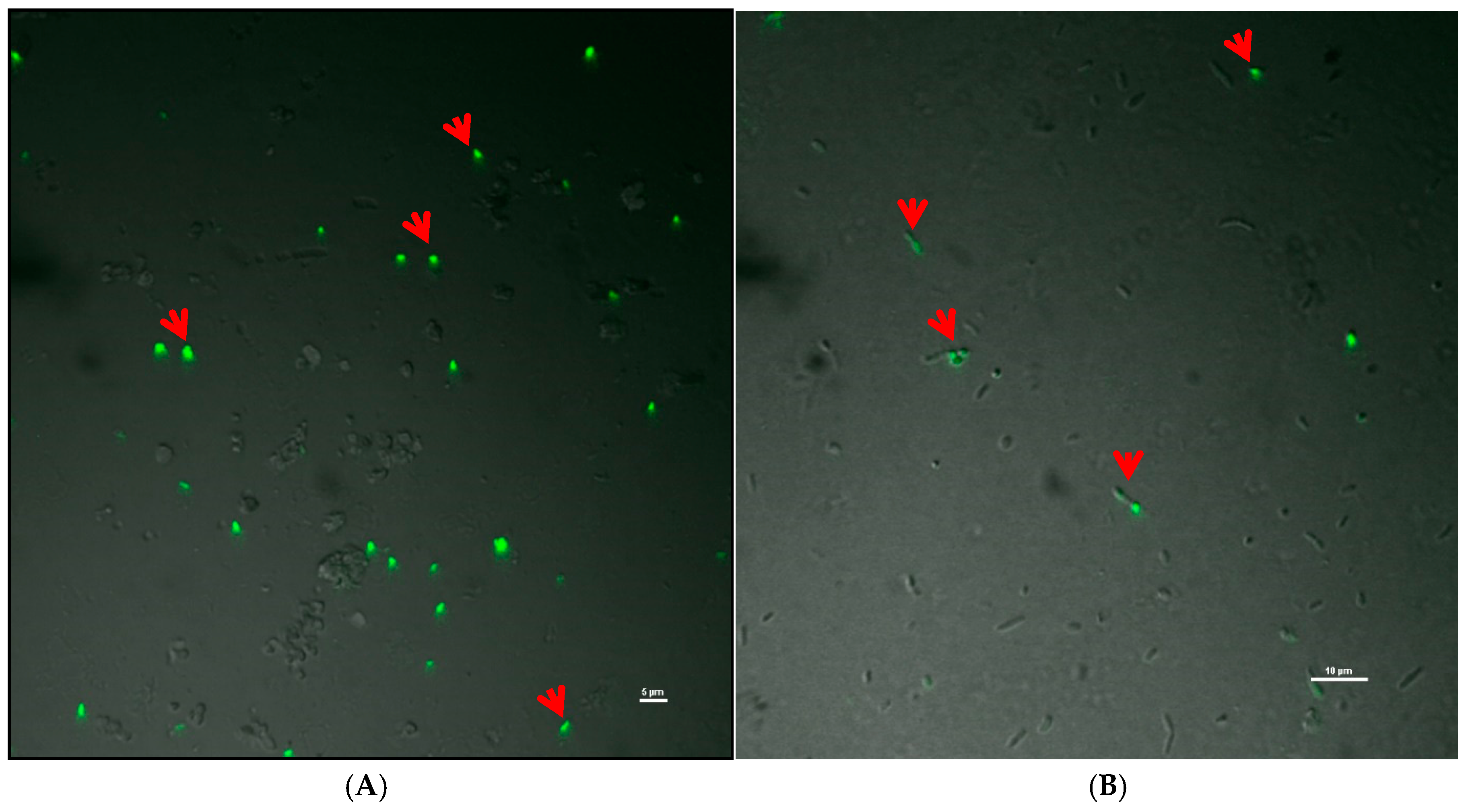 Ijerph 17 04274 g005